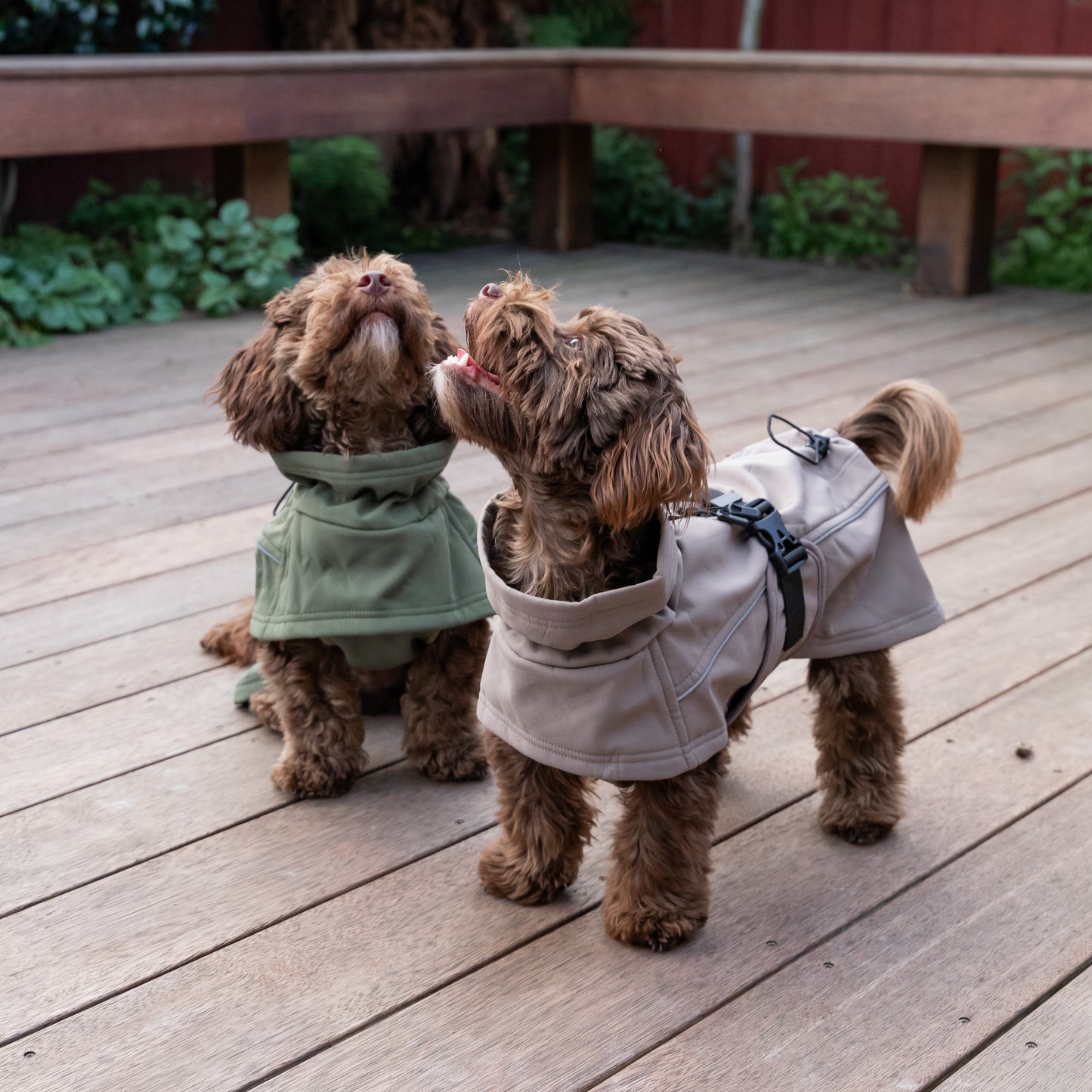 Waterproof Jacket - Mushroom