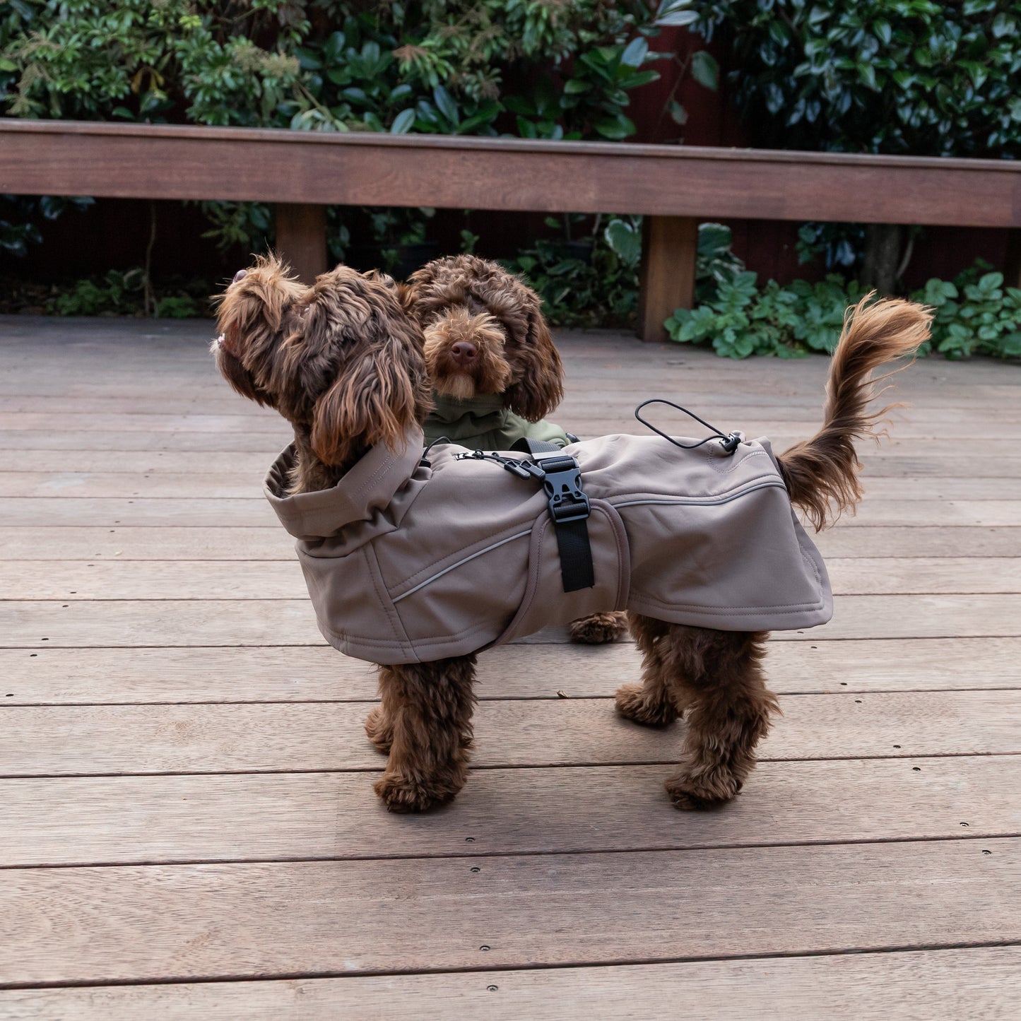 Waterproof Jacket - Mushroom