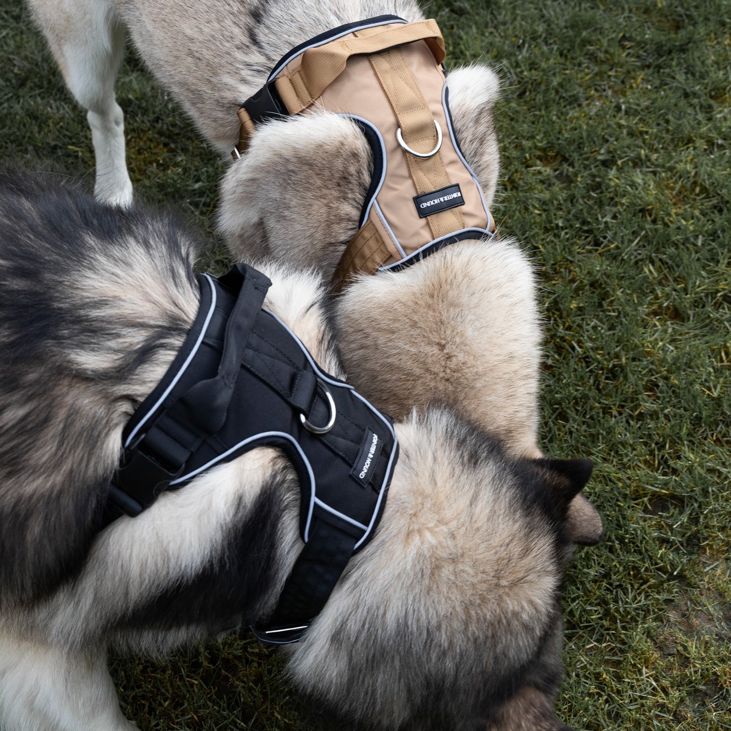 Tactical Harness 2.0 - Black