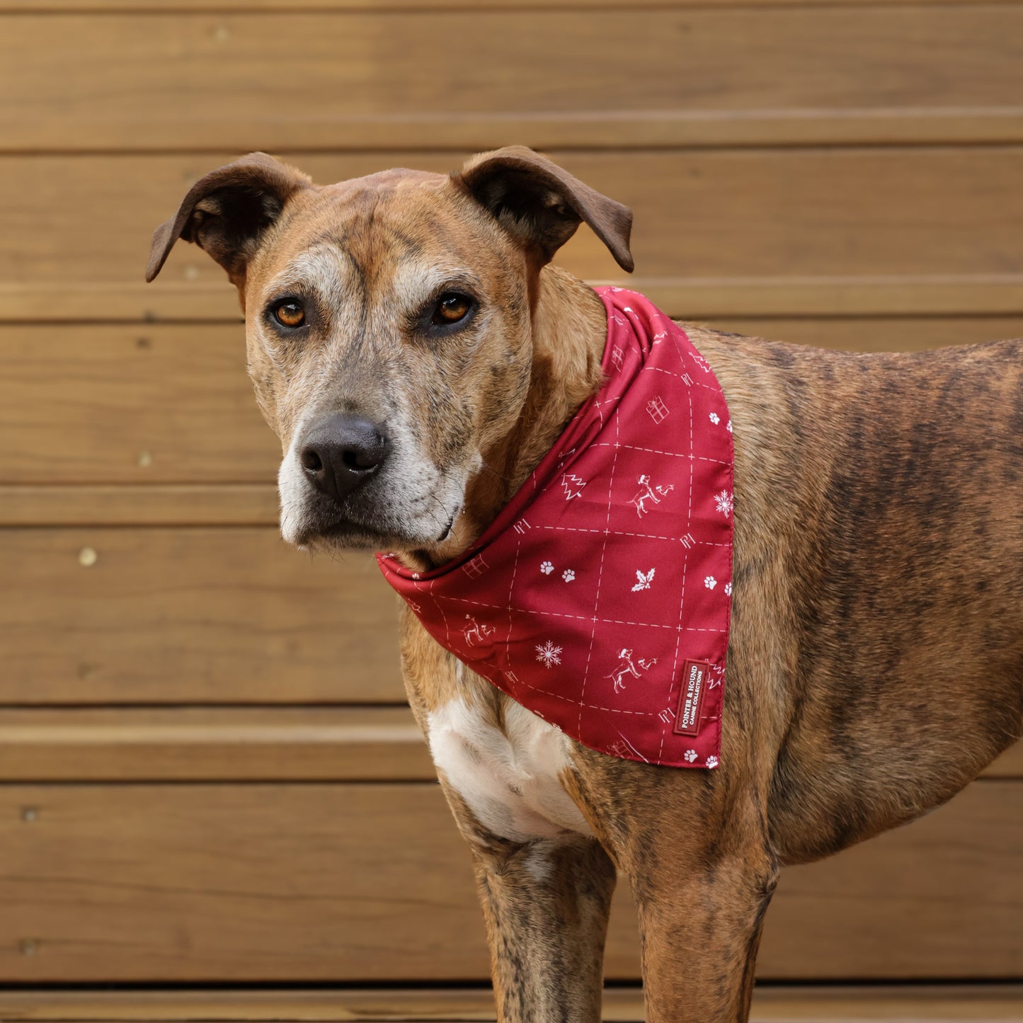 Christmas Bandana