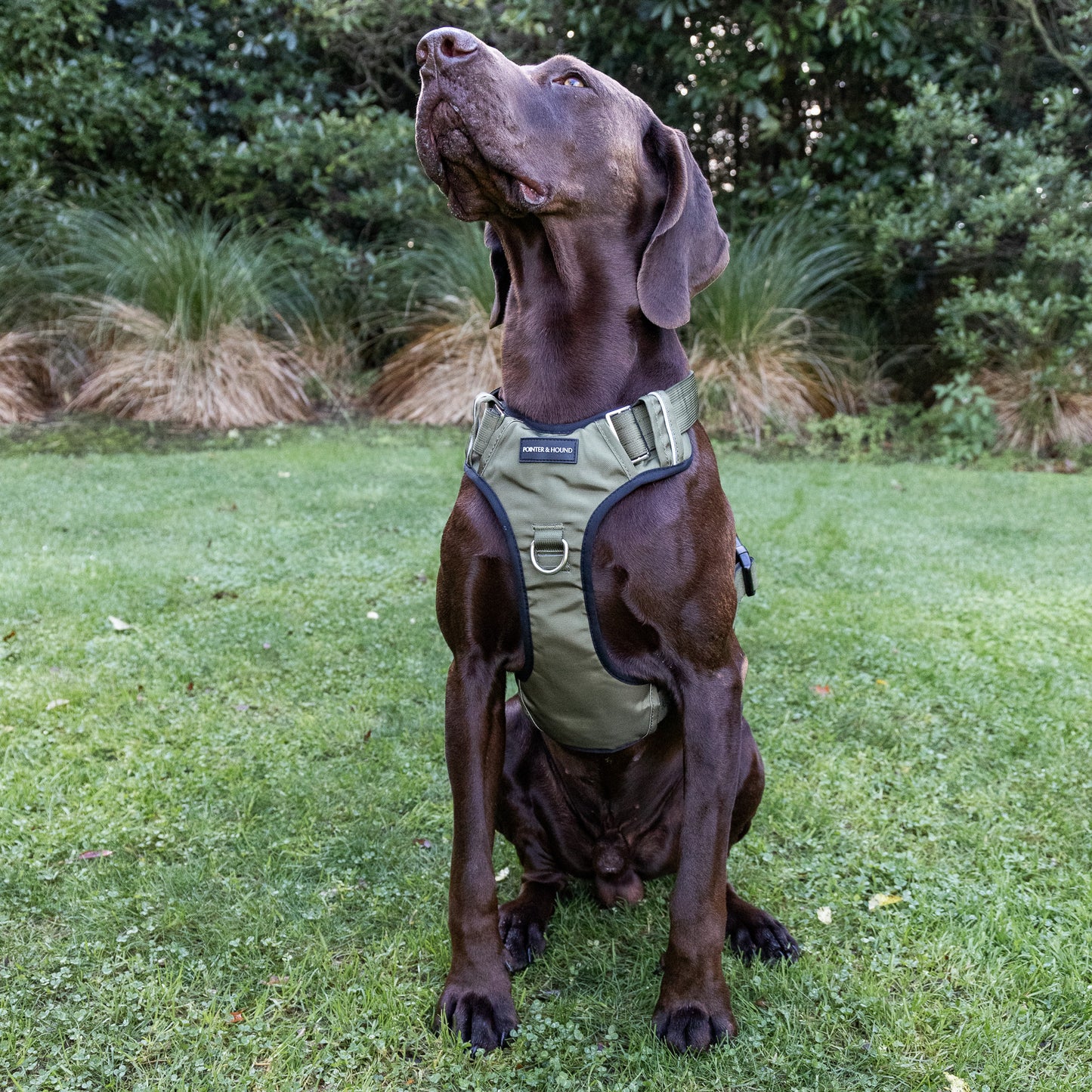 Tactical Harness 2.0 - Army Green