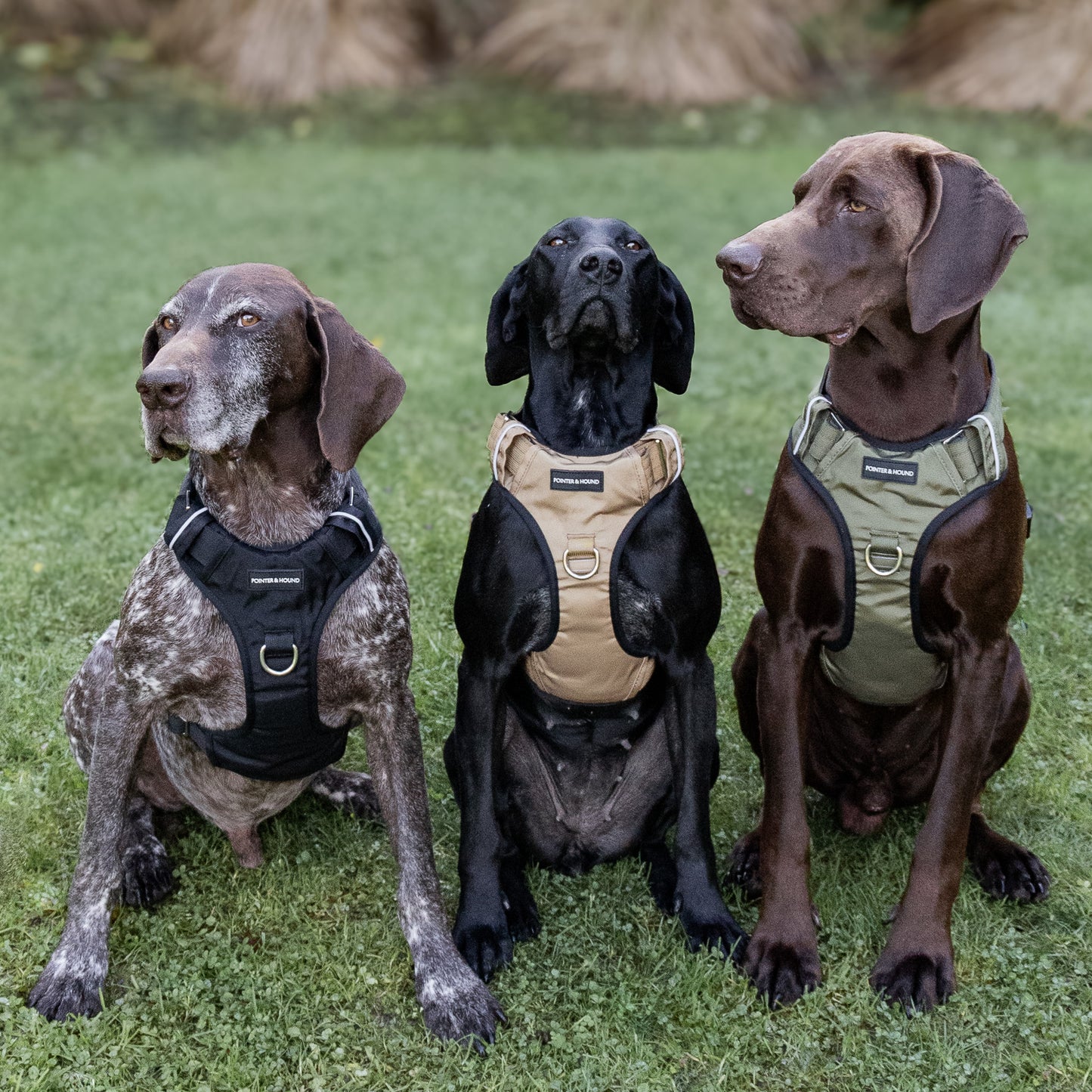 Tactical Harness 2.0 - Army Green