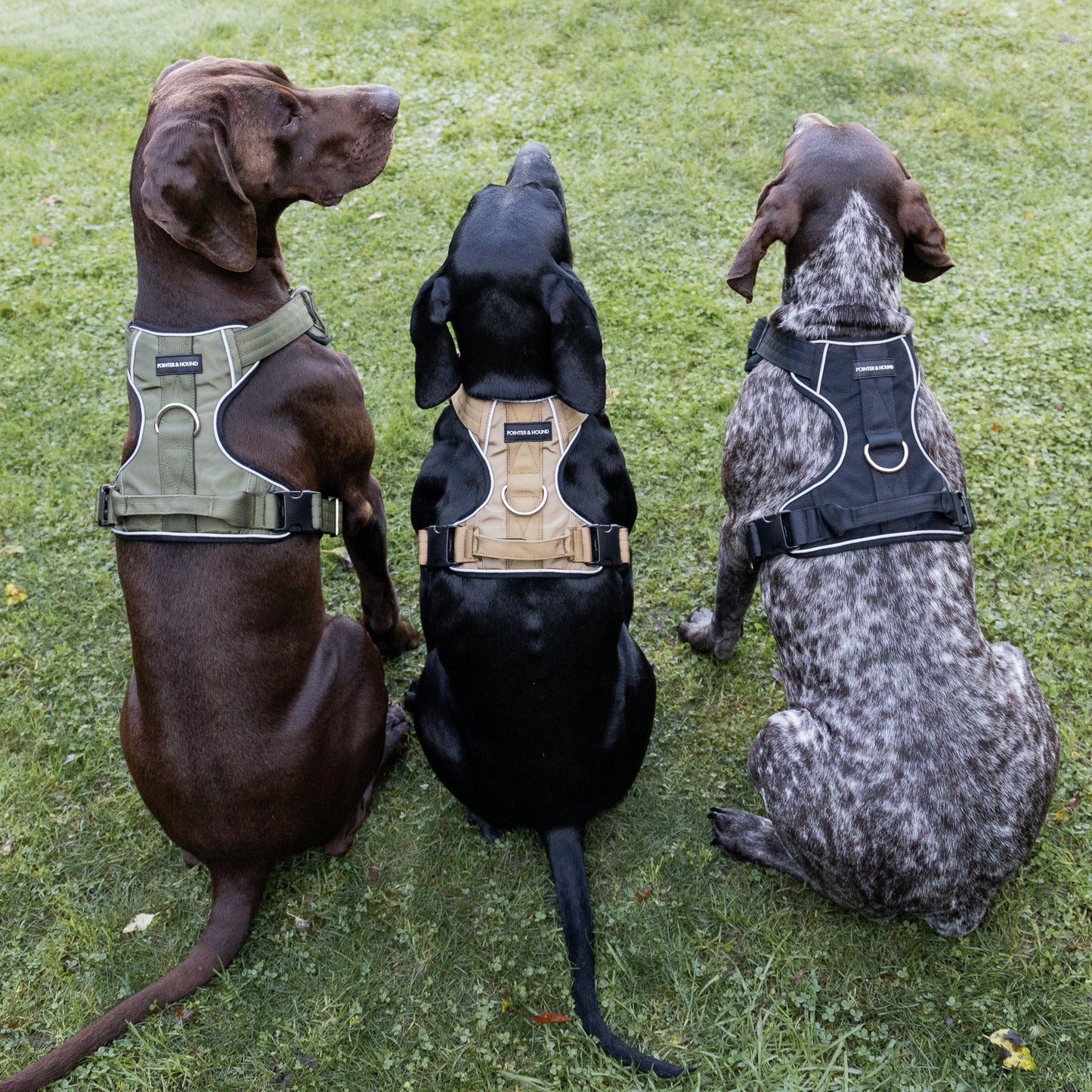 Tactical Harness 2.0 - Army Green