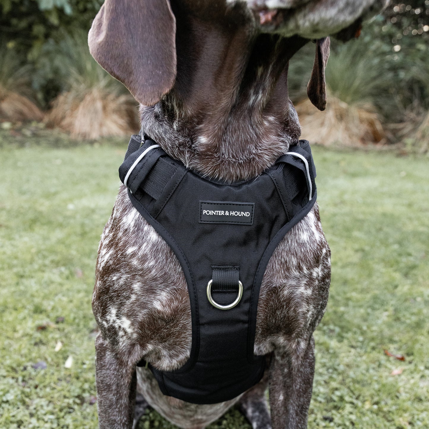 Tactical Harness 2.0 - Black