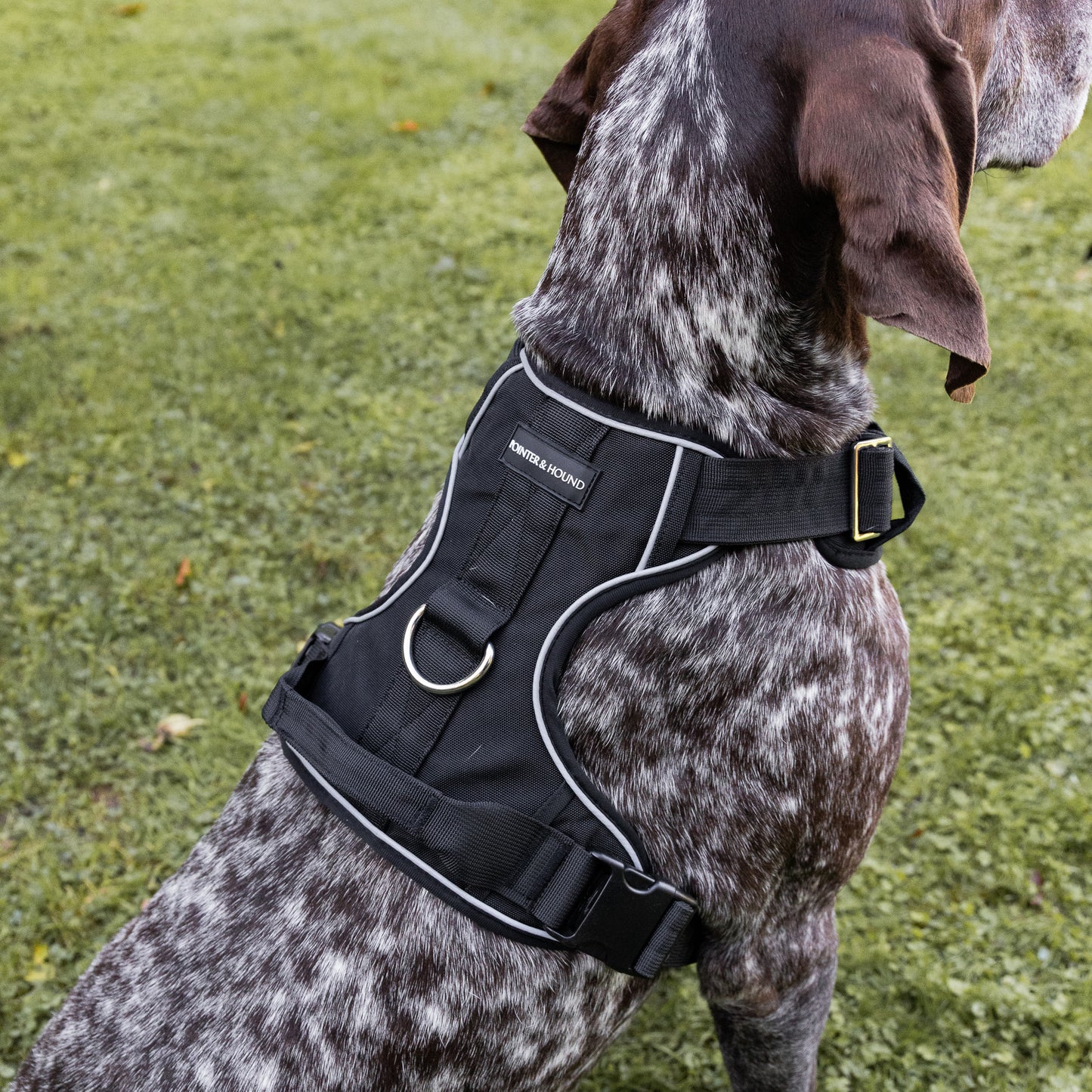 Tactical Harness 2.0 - Black