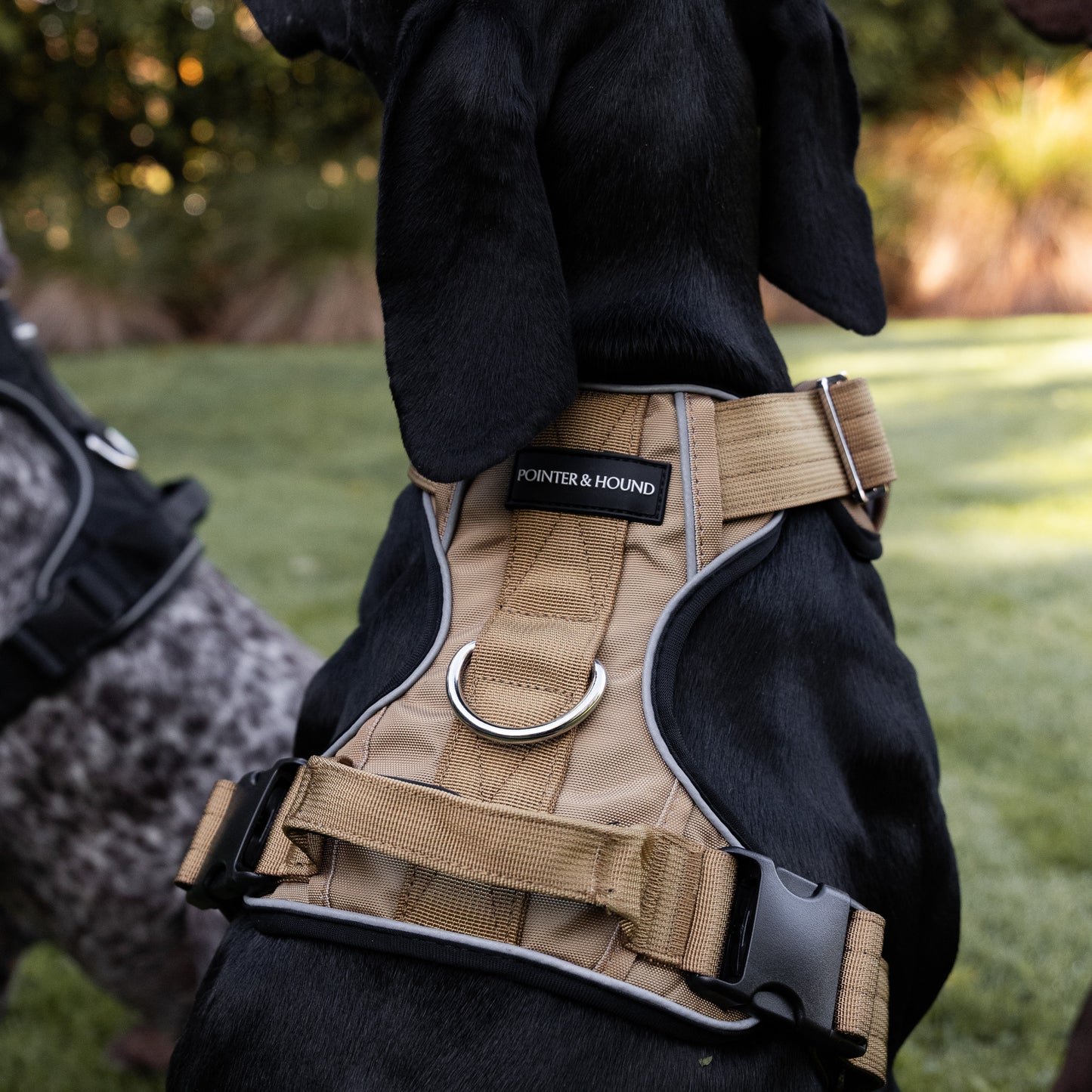 Tactical Harness 2.0 - Tan