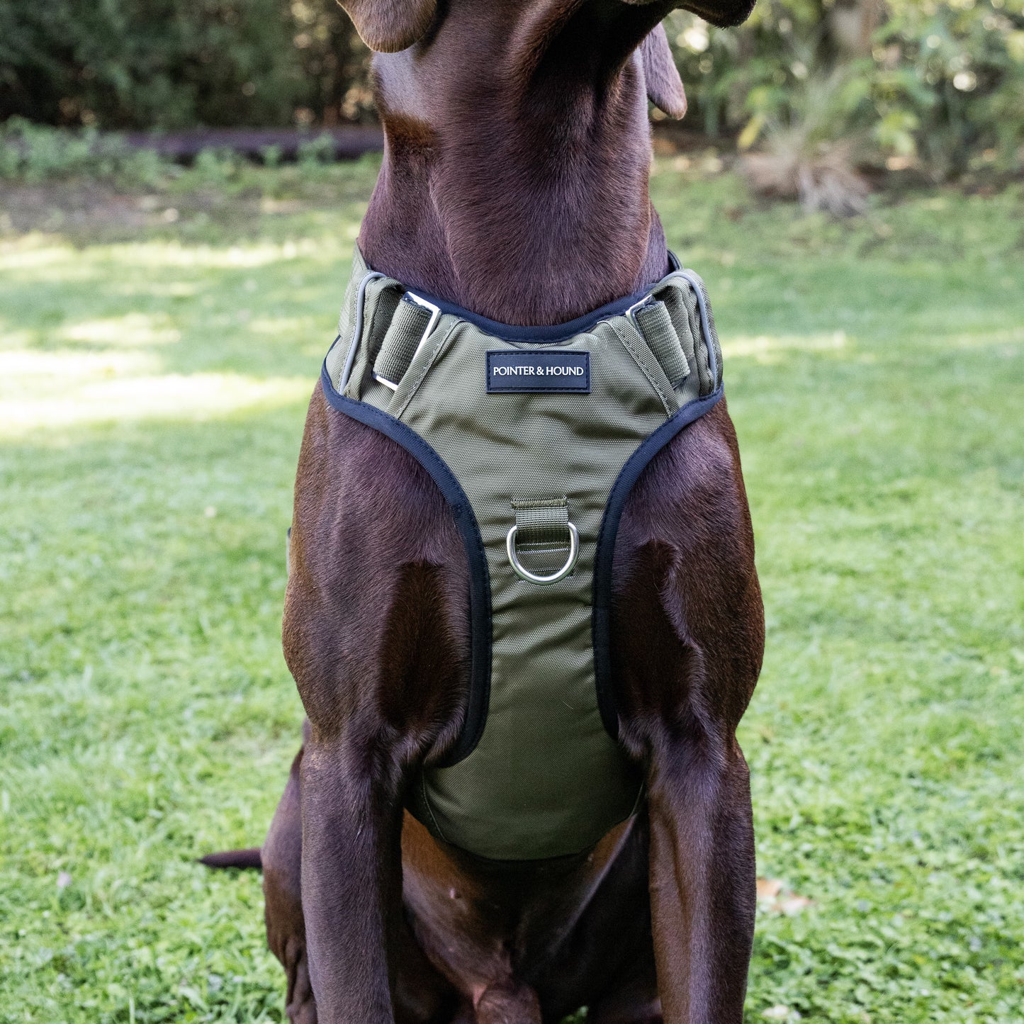 Tactical Harness 2.0 - Army Green