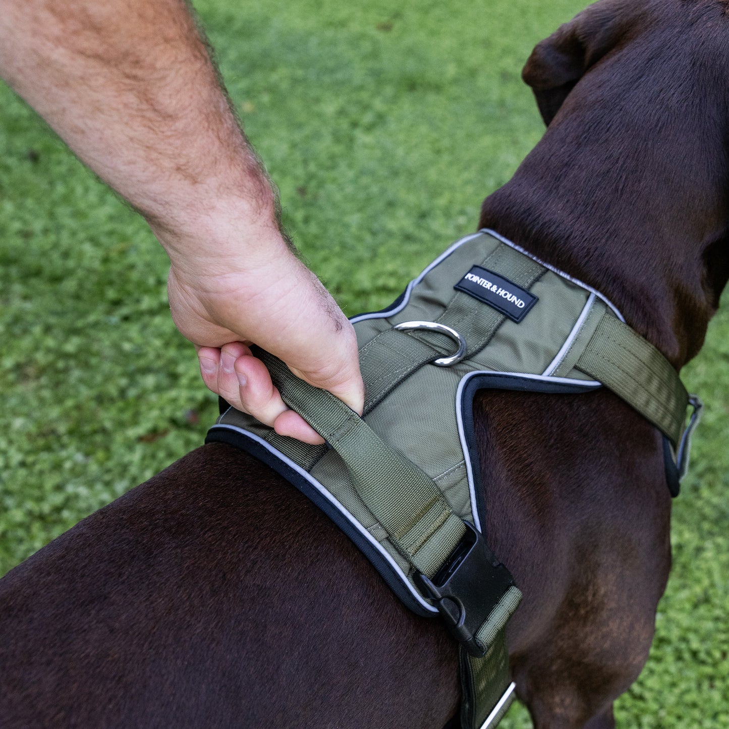 Tactical Harness 2.0 - Army Green
