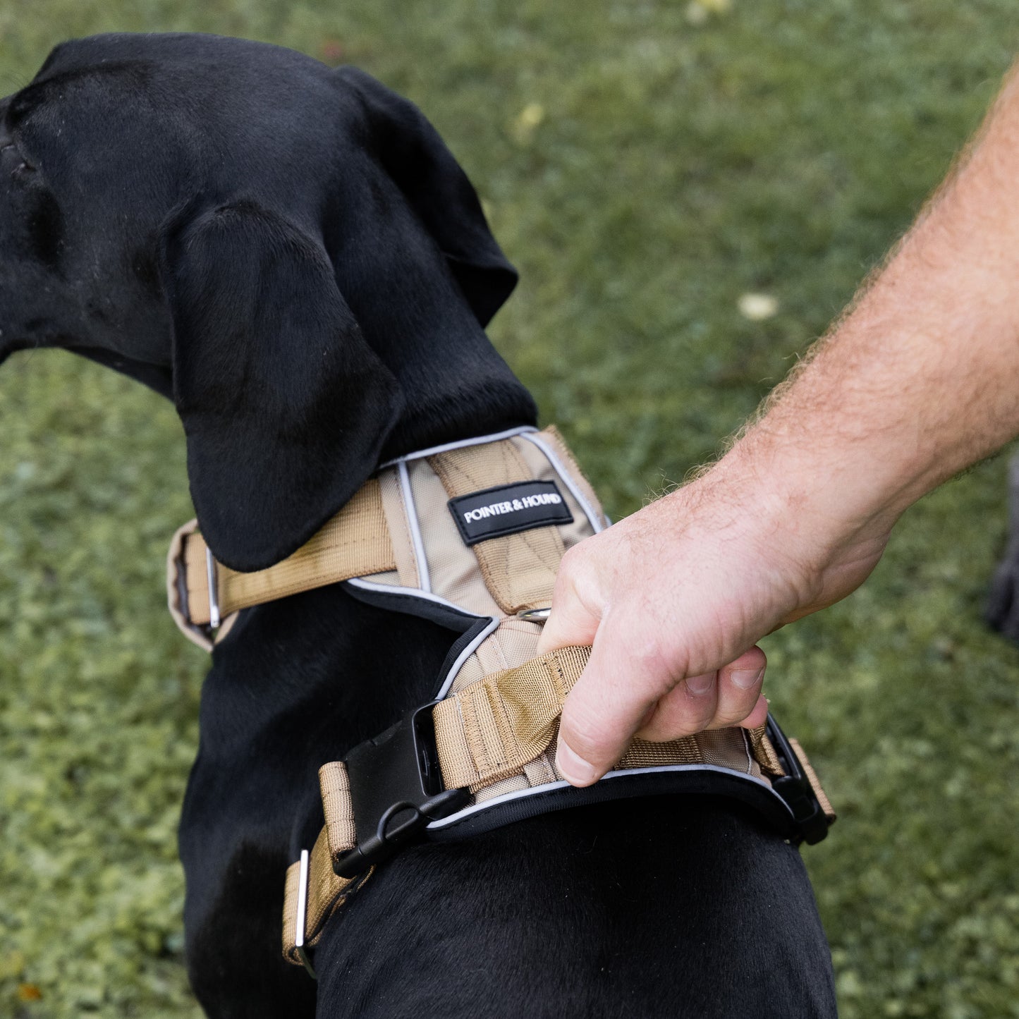 Tactical Harness 2.0 - Tan