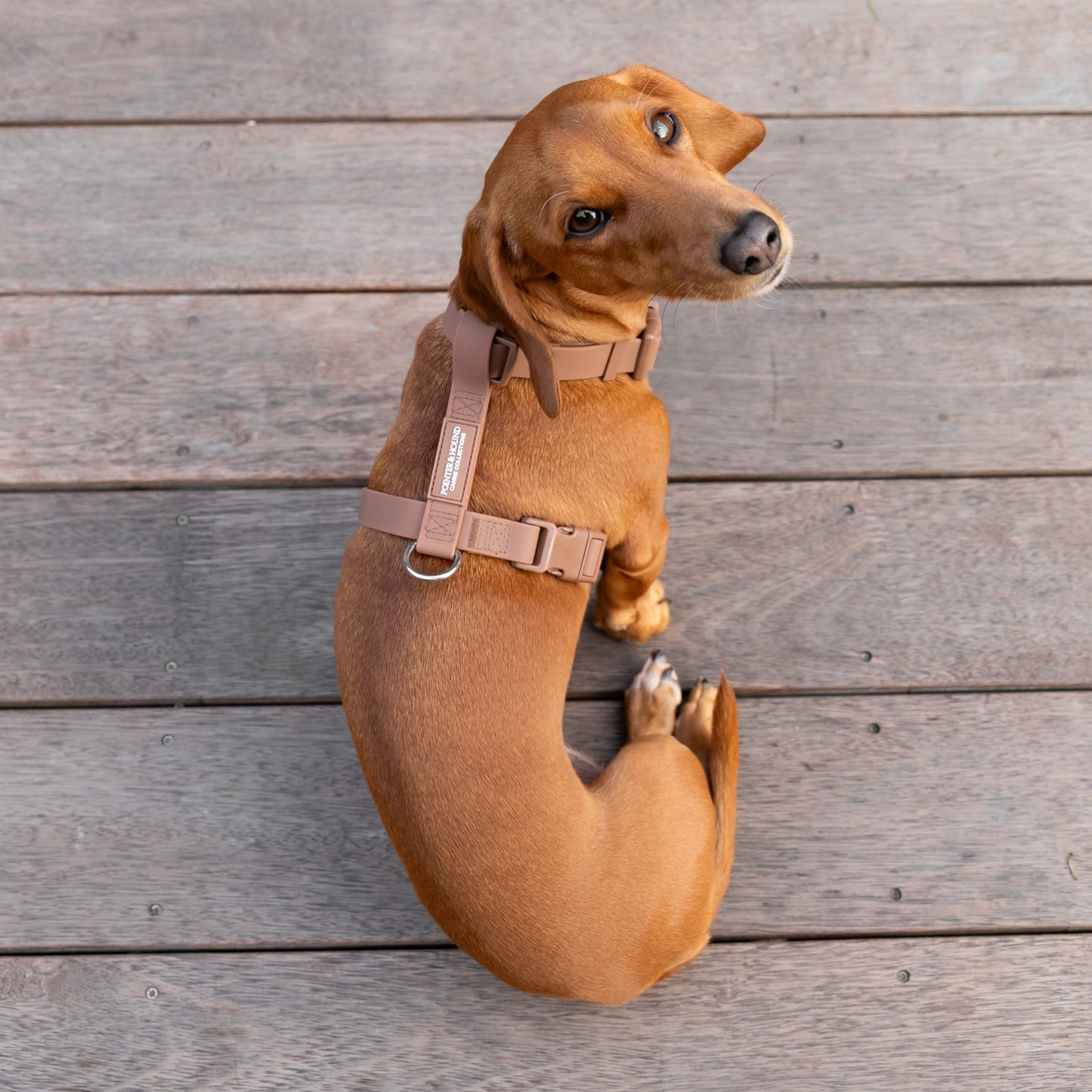 Waterproof H Strap Harness - Brown