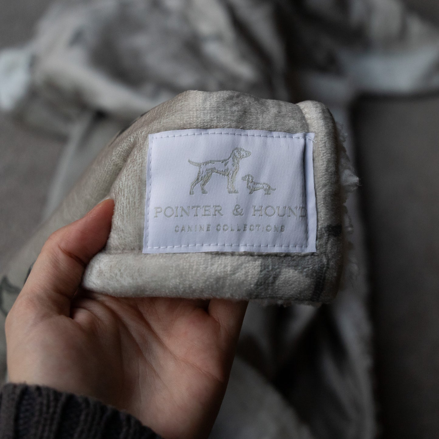 Luxury Blanket - Pointer Print