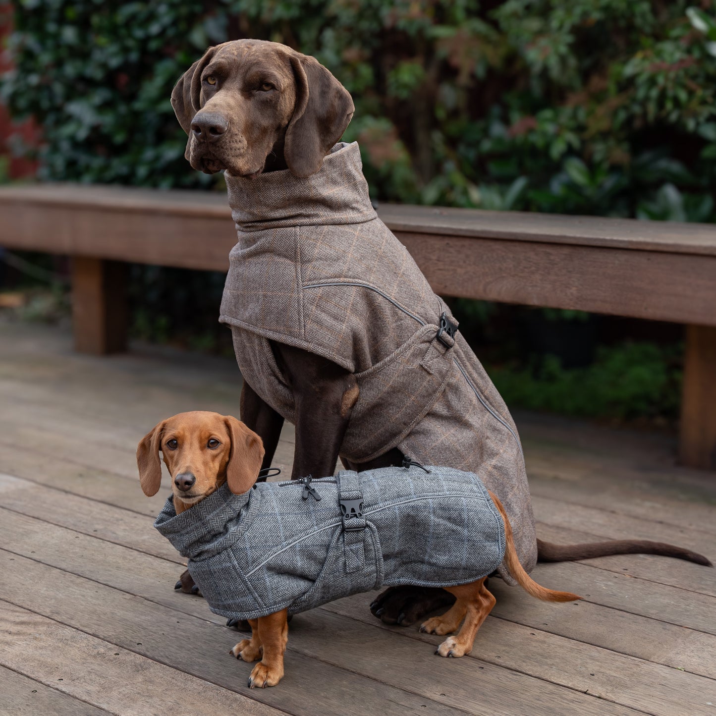 Wool-Blend Jacket