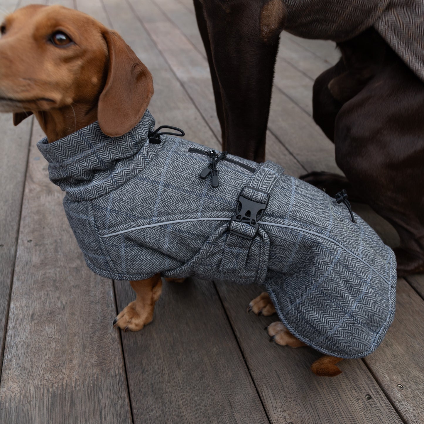 Wool-Blend Jacket