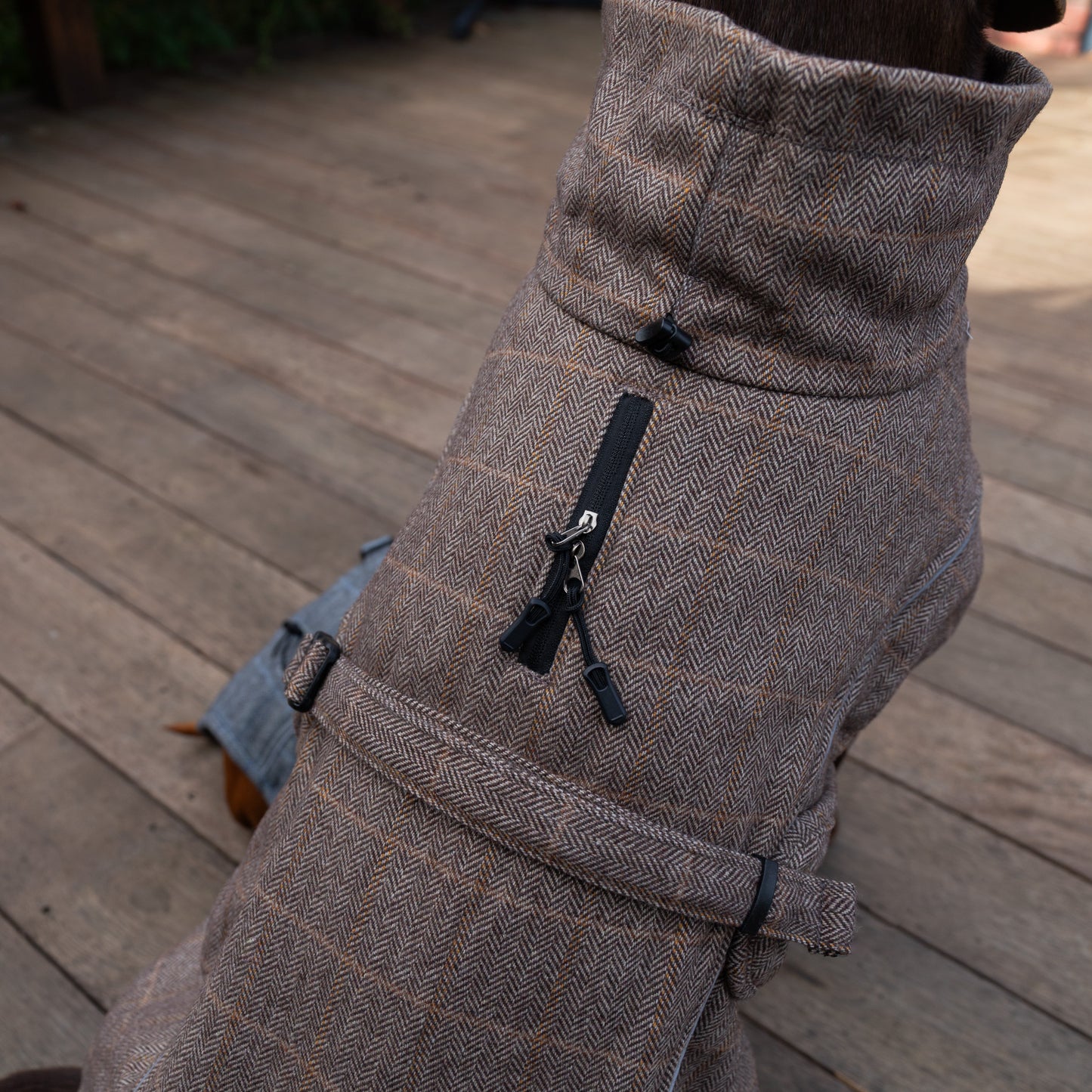 Wool-Blend Jacket