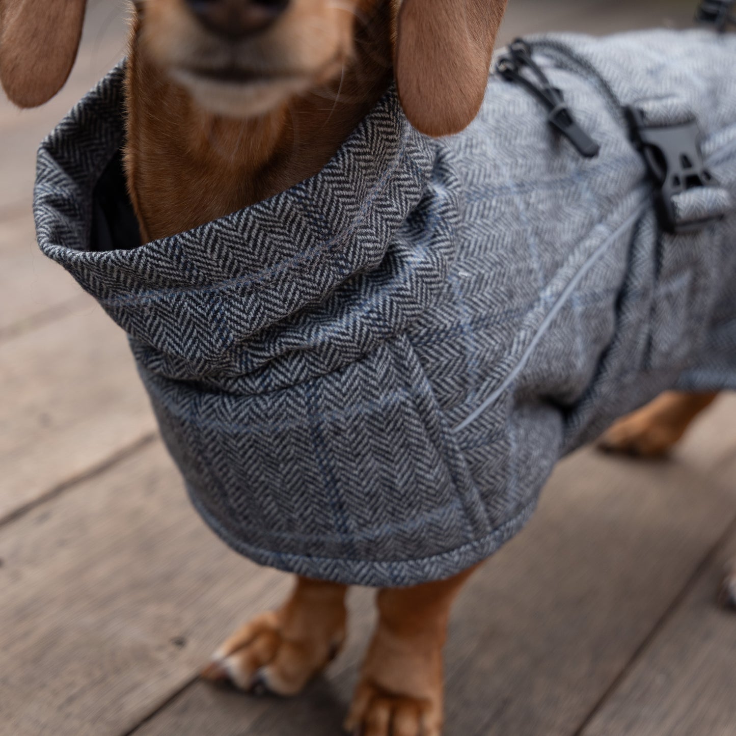 Wool-Blend Jacket