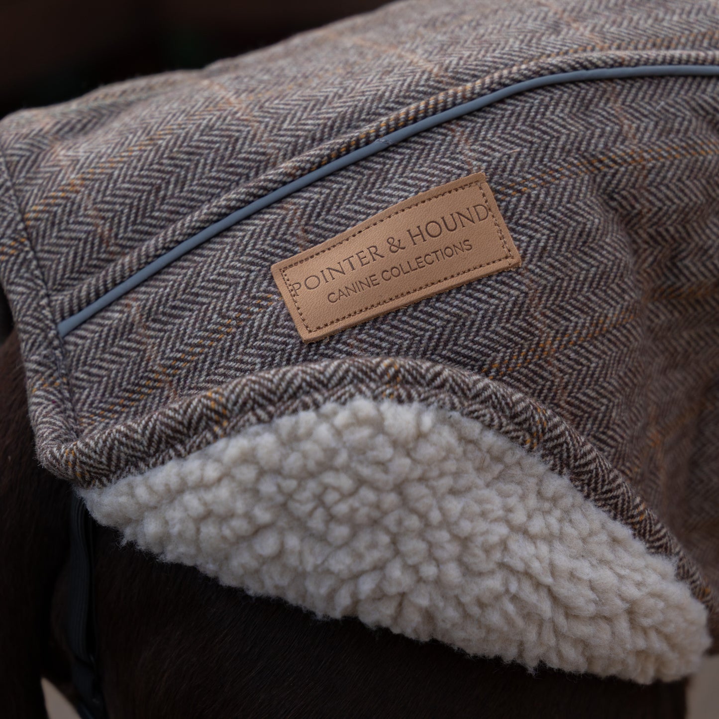 Highland Coat