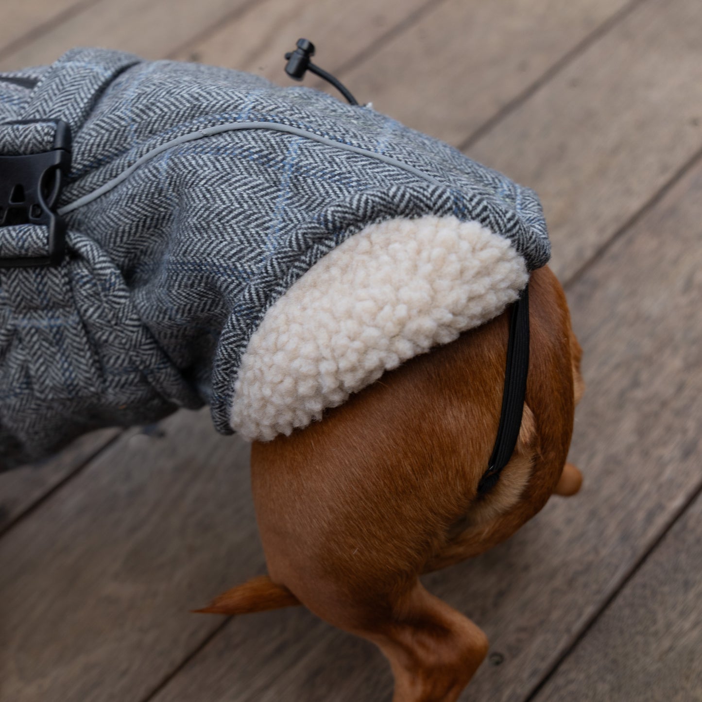 Wool-Blend Jacket