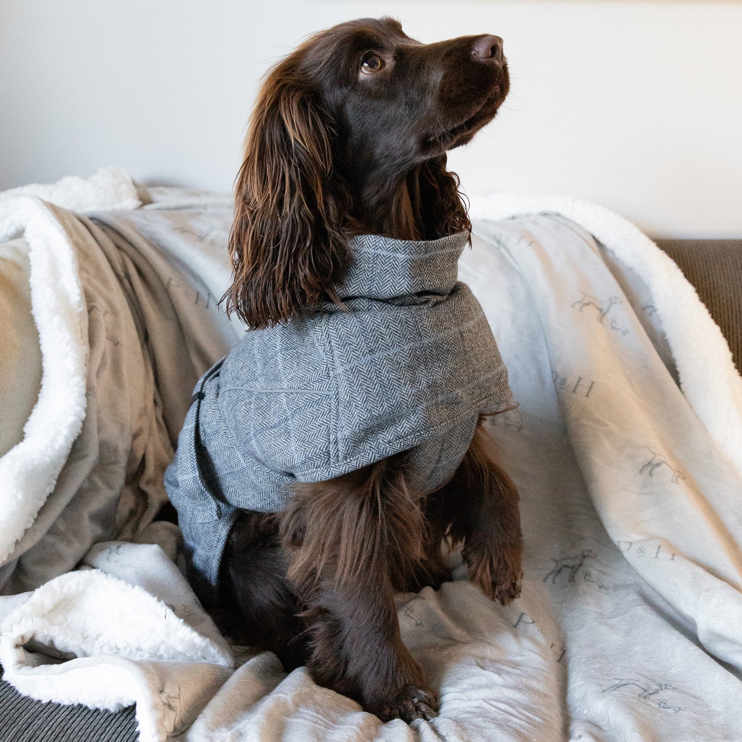 Wool-Blend Jacket