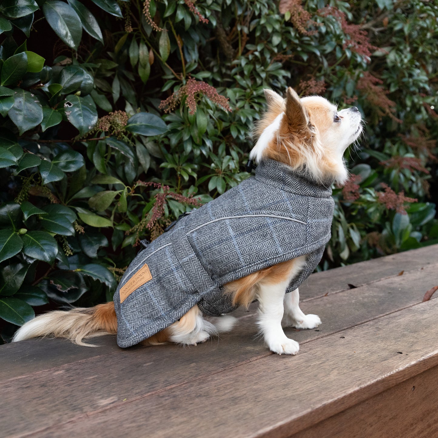 Wool-Blend Jacket
