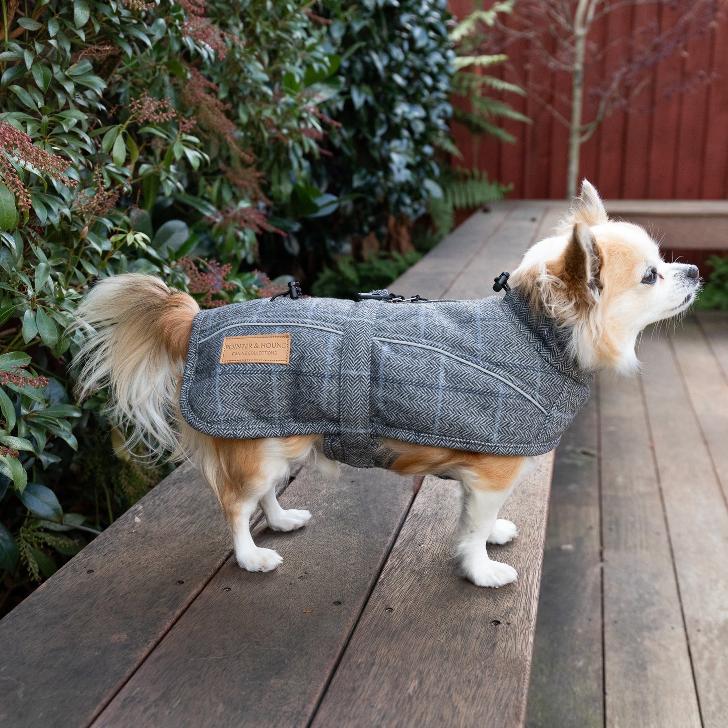 Wool-Blend Jacket