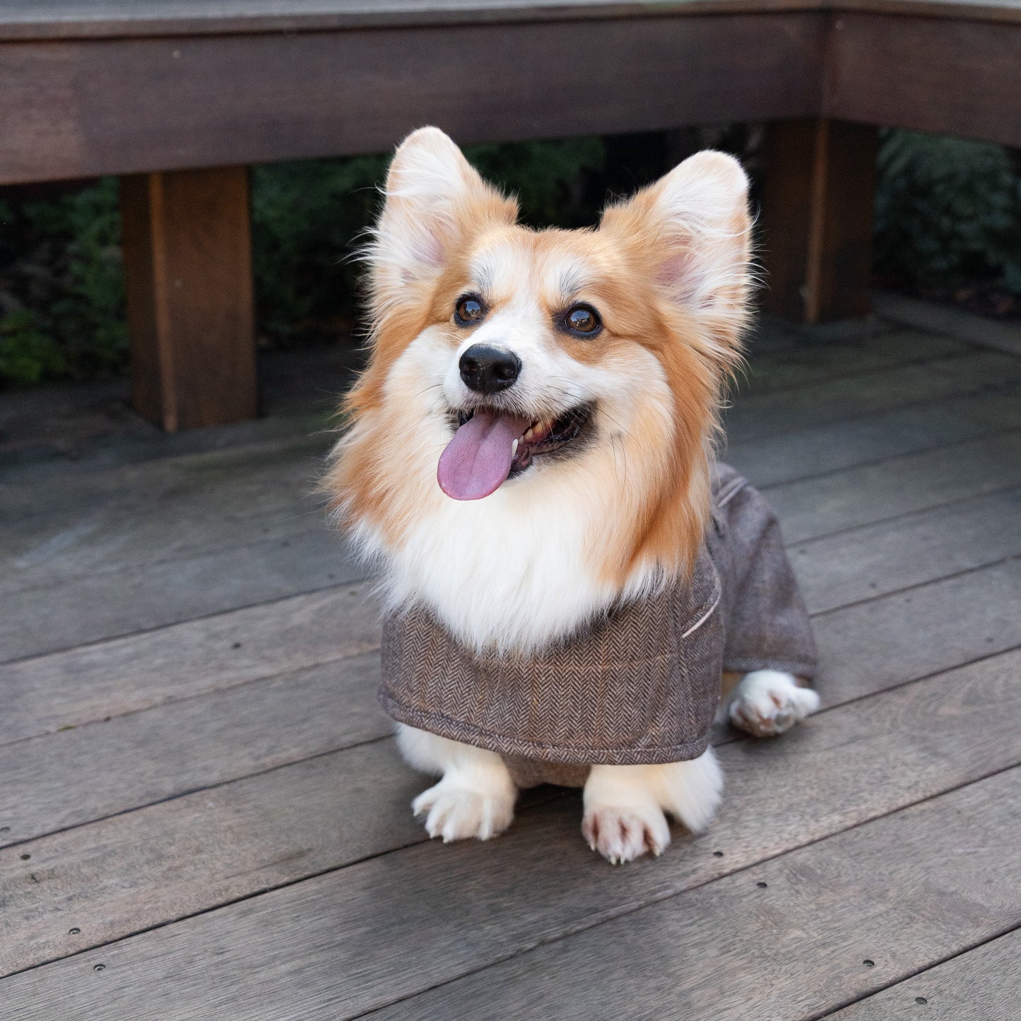 Highland Coat