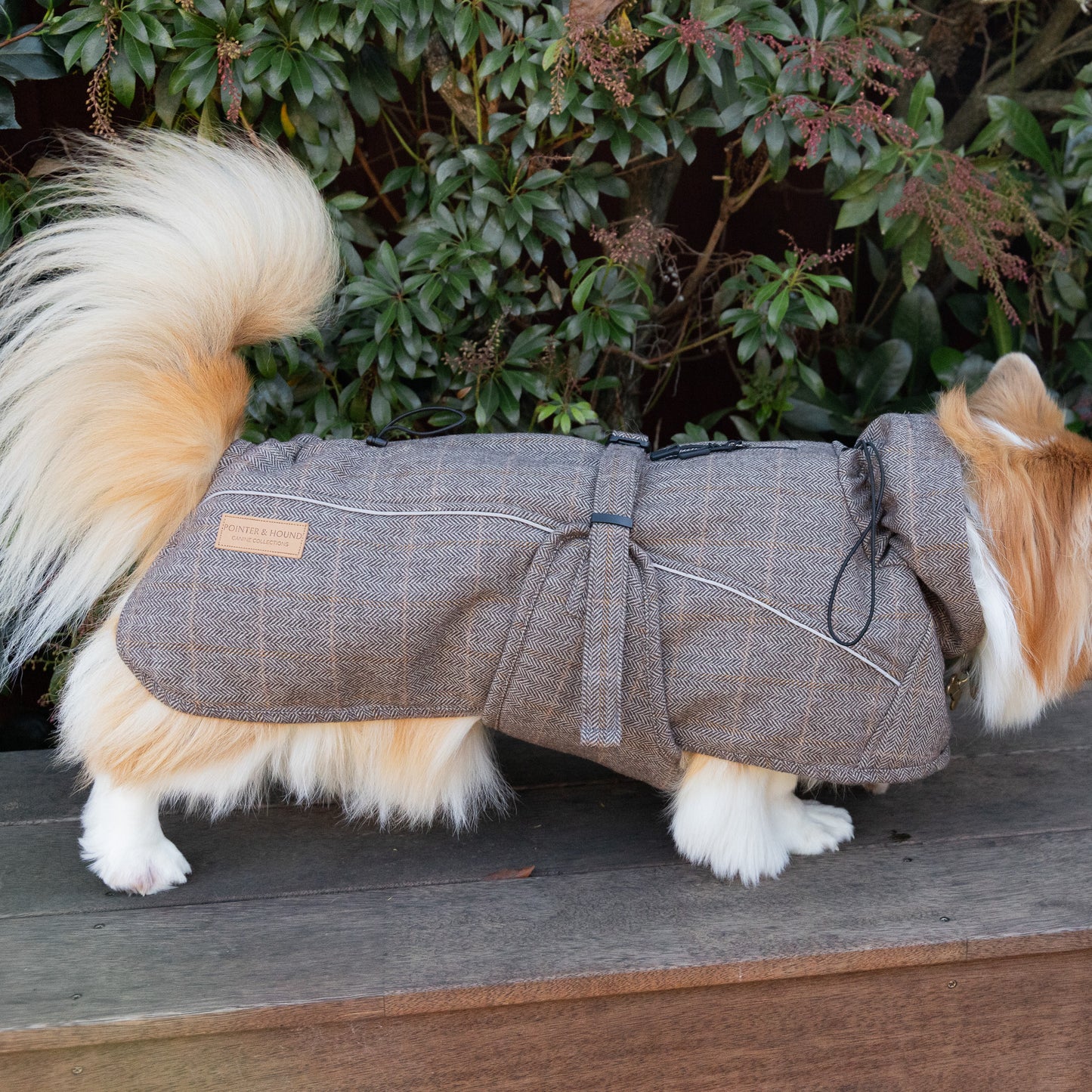 Wool-Blend Jacket