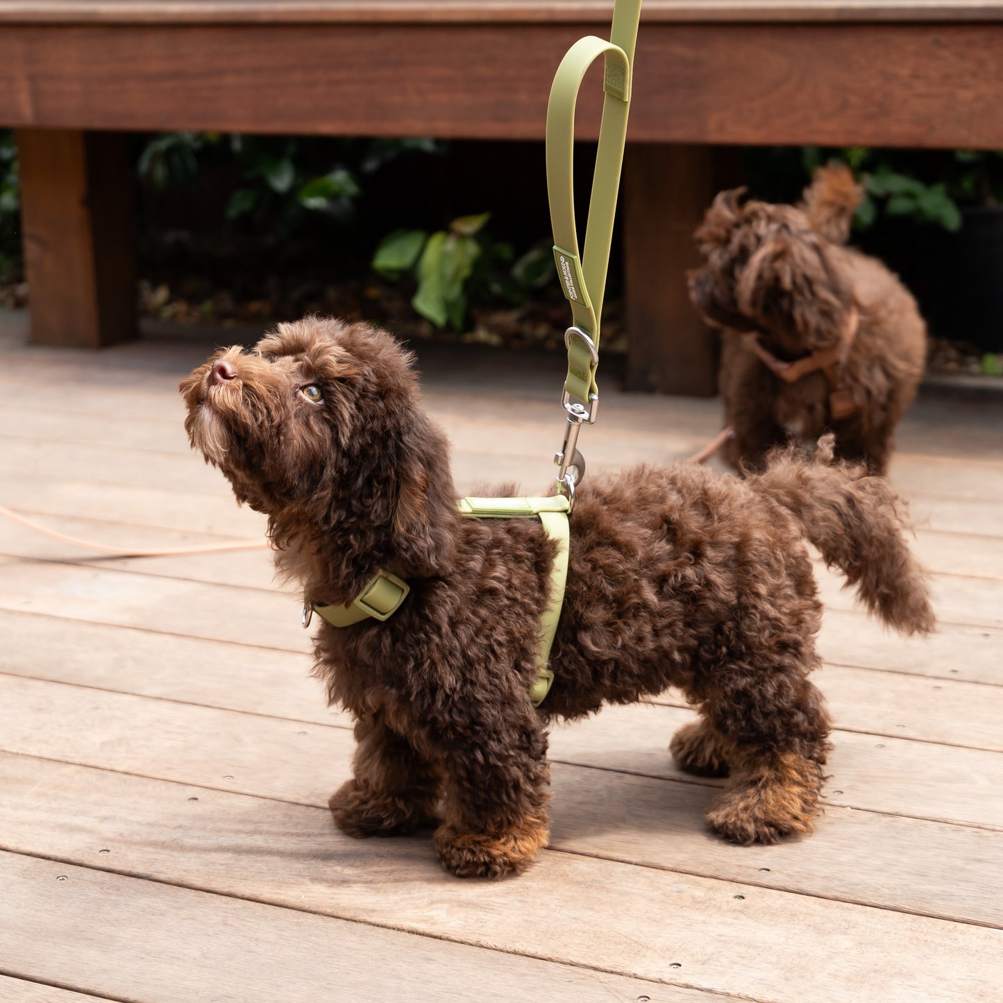 Waterproof H Strap Harness - Green