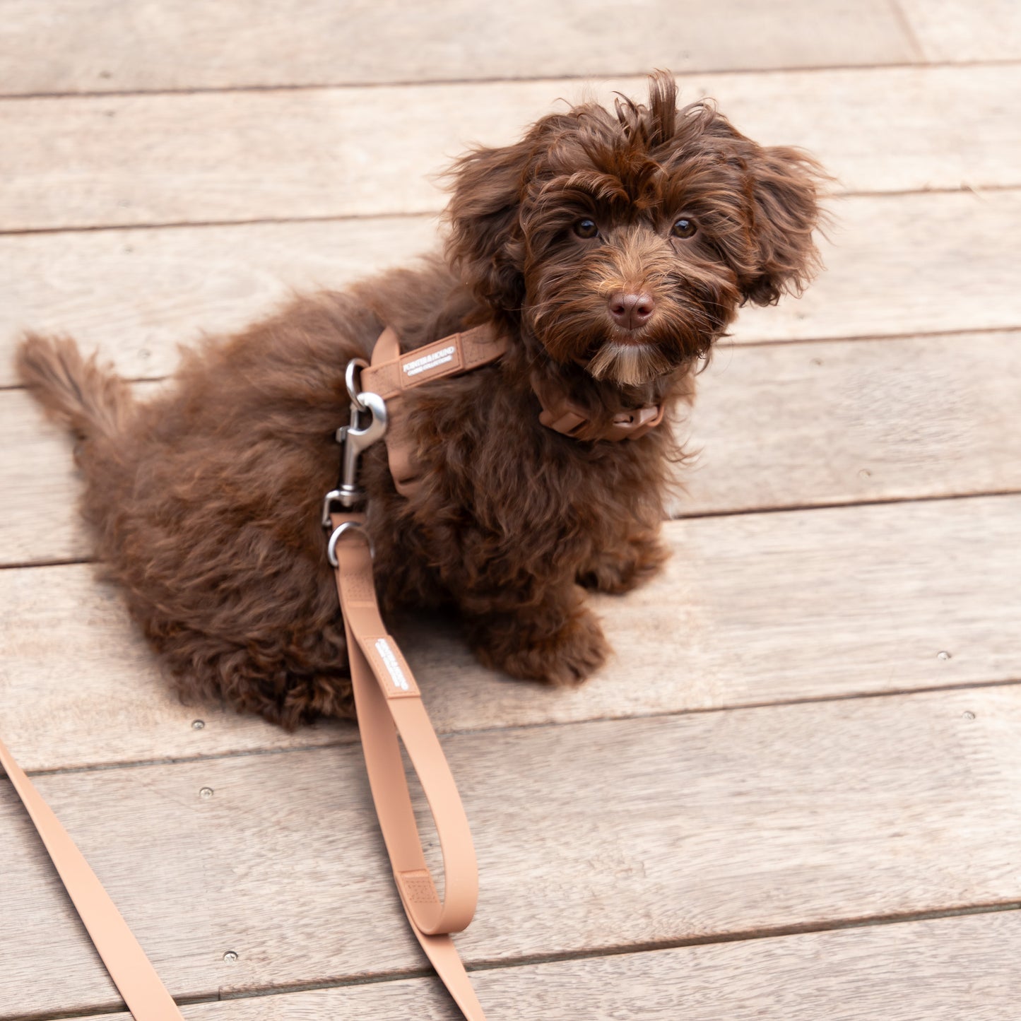 Waterproof H Strap Harness - Brown