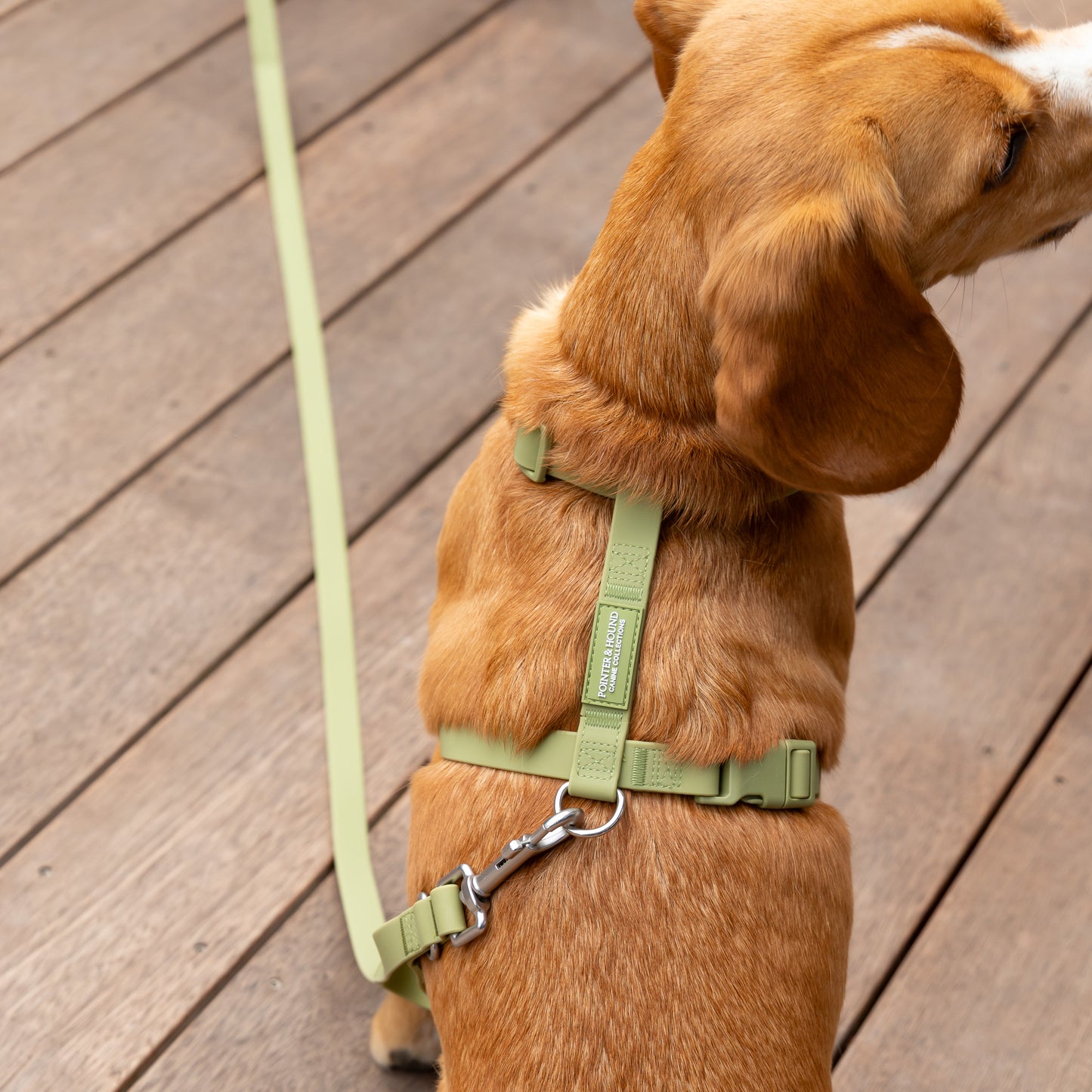 Waterproof H Strap Harness - Green