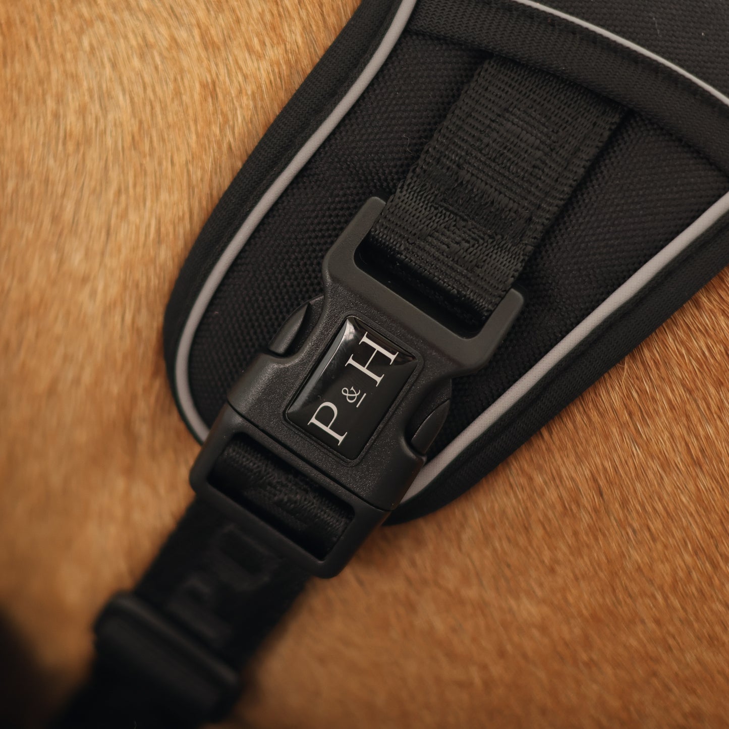 Signature Harness - Black