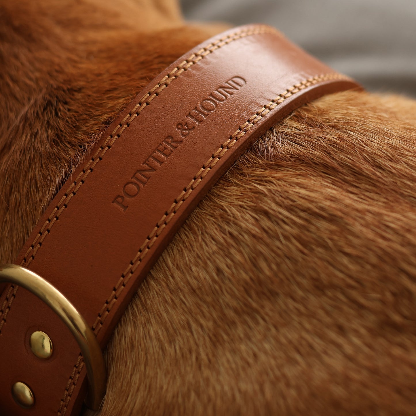 Luxe Leather Collar - Tan