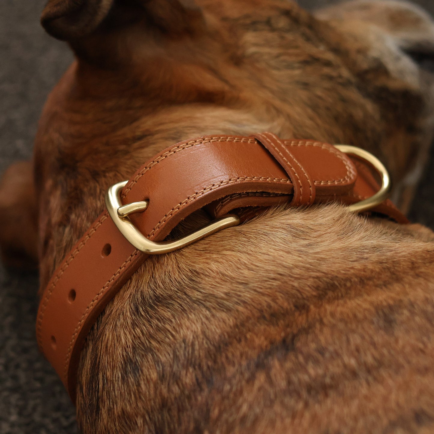 Luxe Leather Collar - Tan