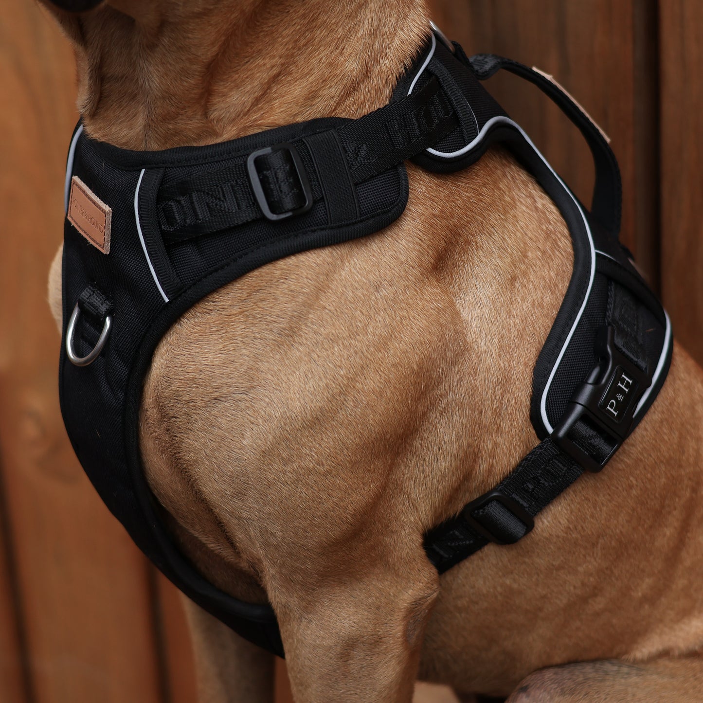 Signature Harness - Black