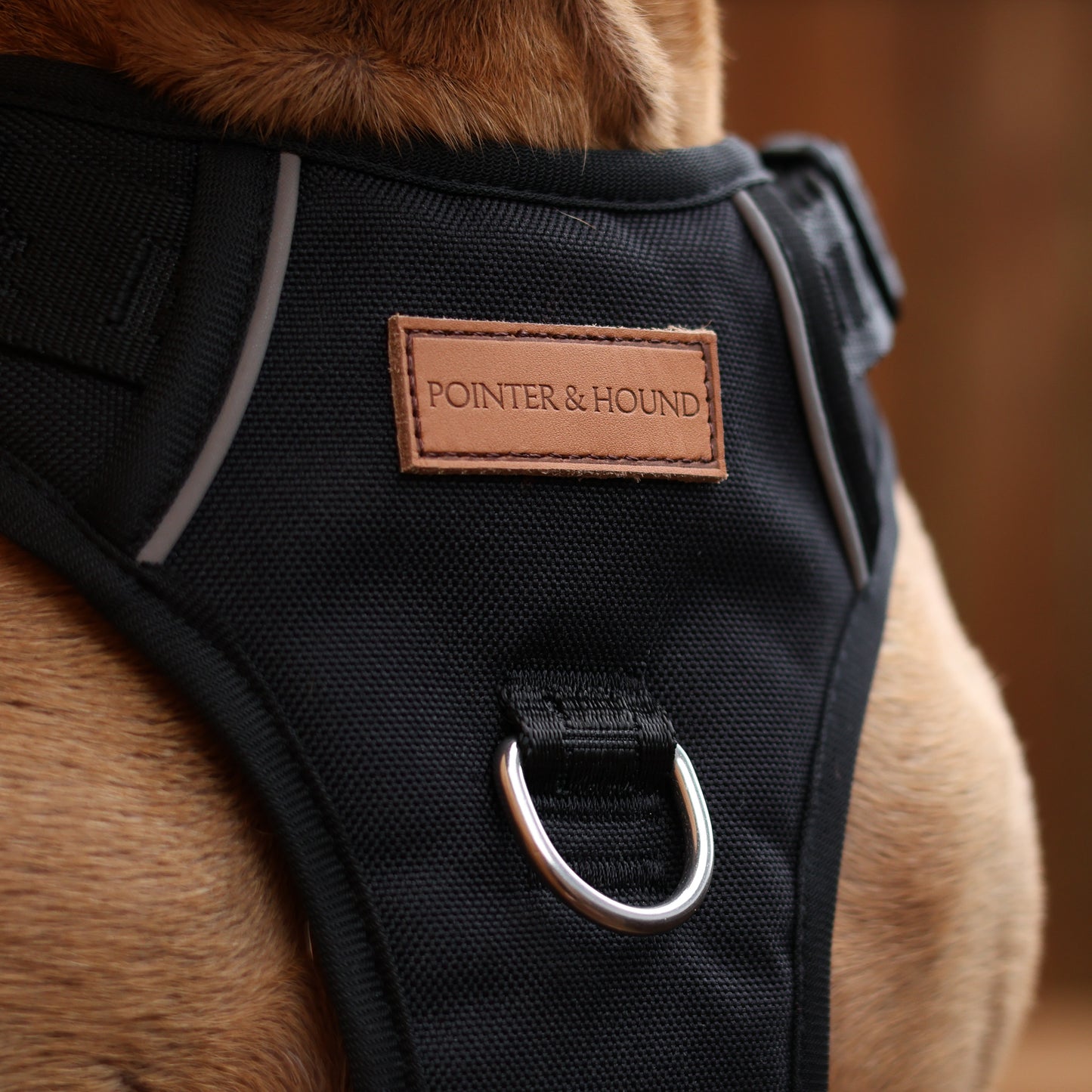 Signature Harness - Black
