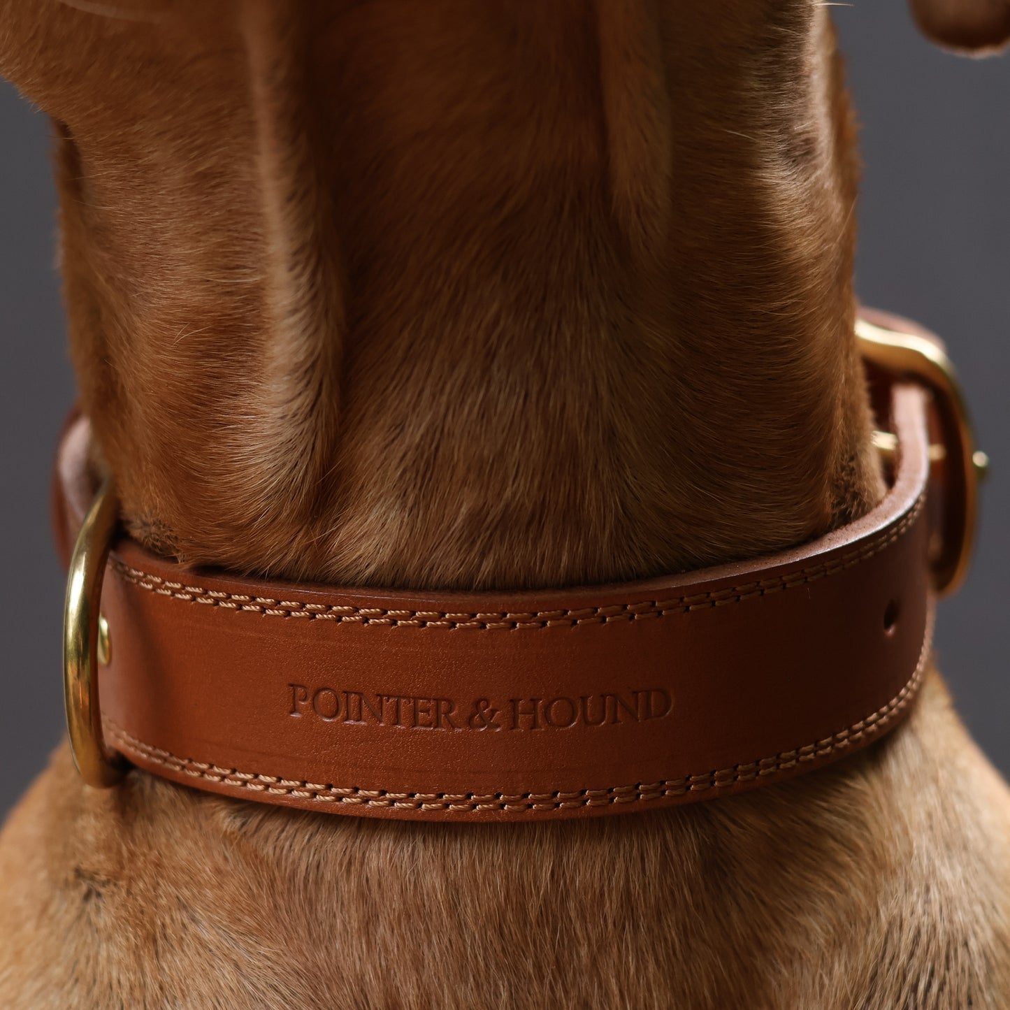 Luxe Leather Collar - Tan