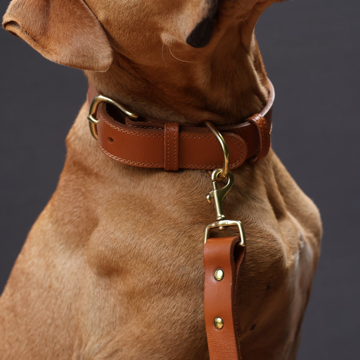 Luxe Leather Collar - Tan