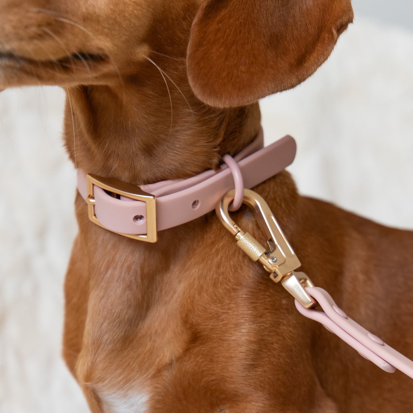 PVC Collar - Blush Pink