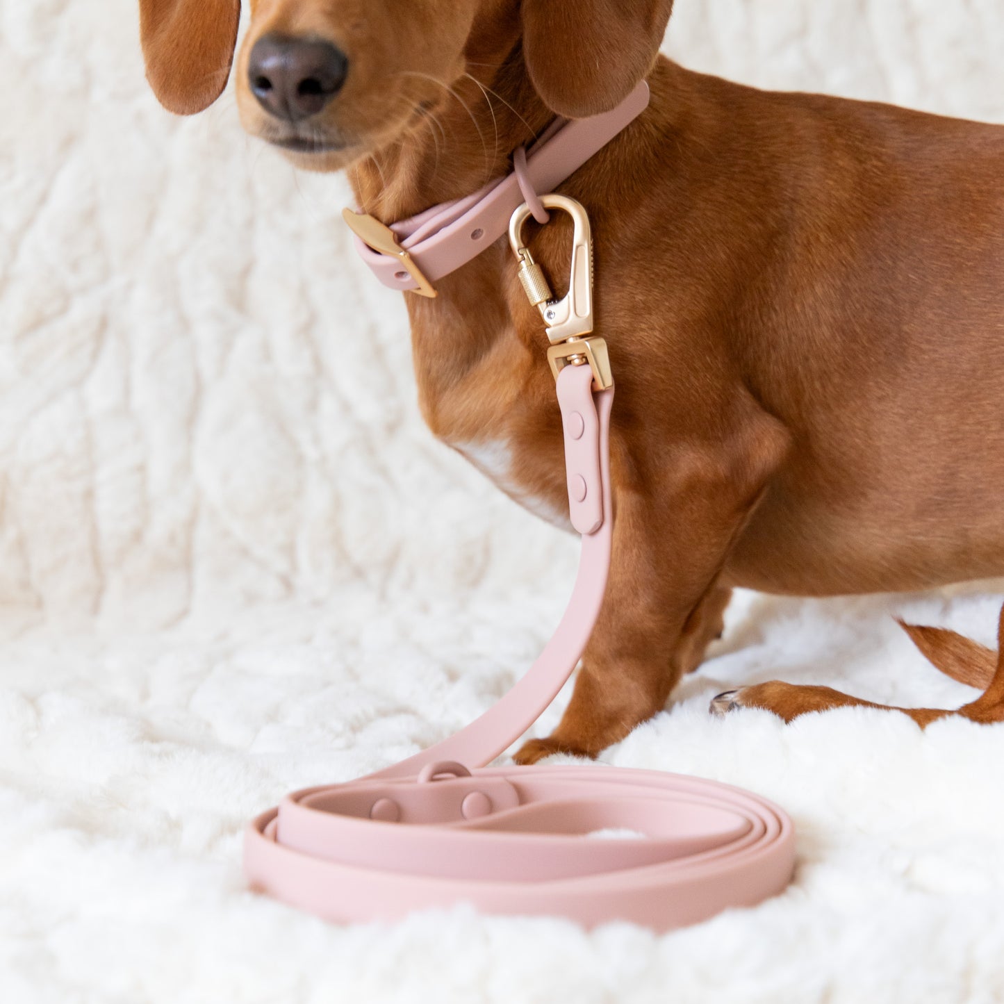 PVC Leash - Blush Pink