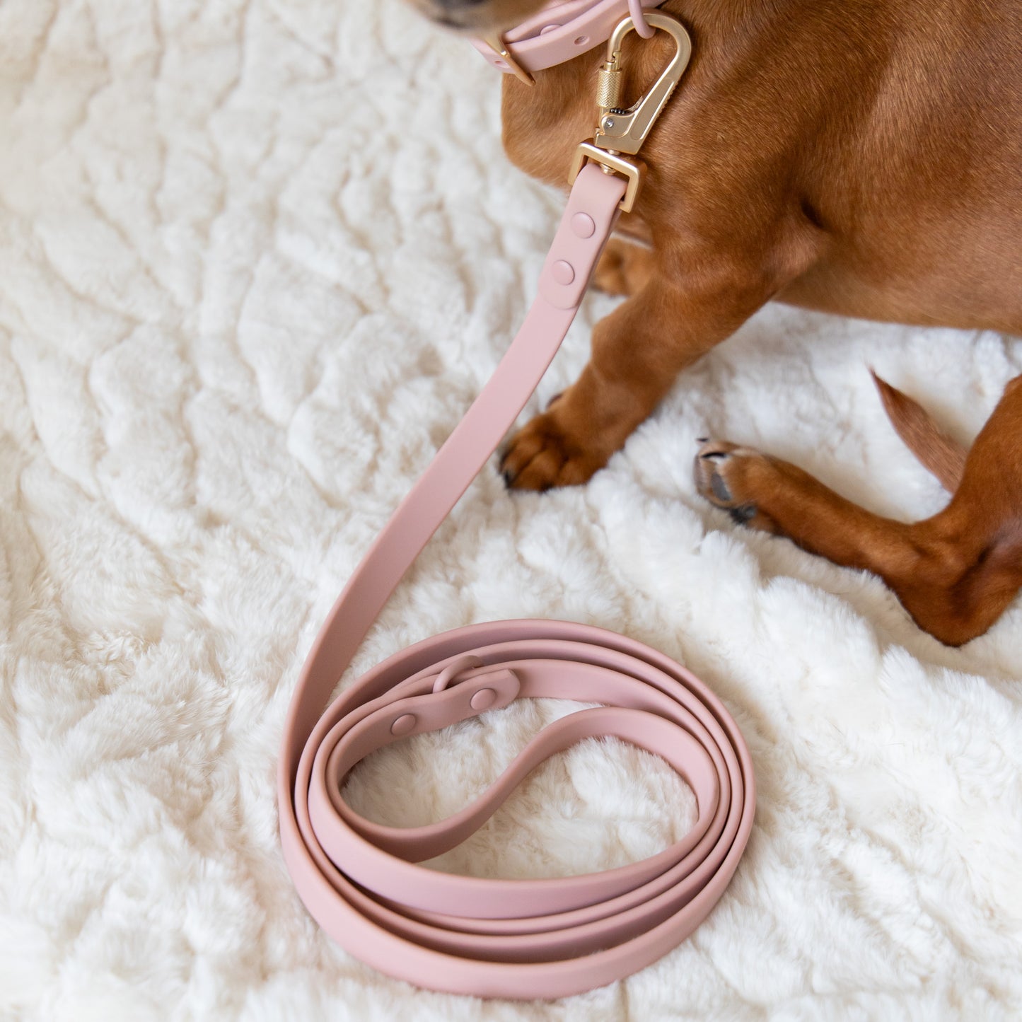PVC Leash - Blush Pink