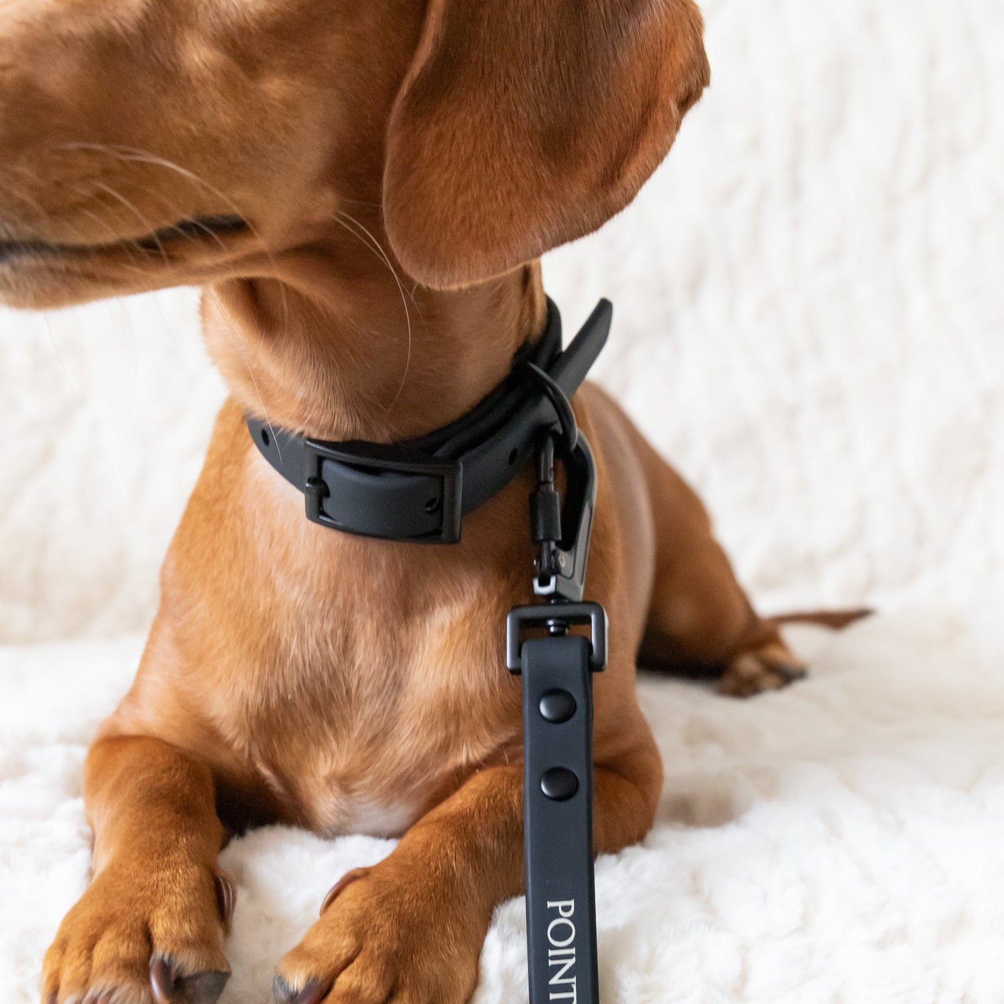 PVC Collar - Black