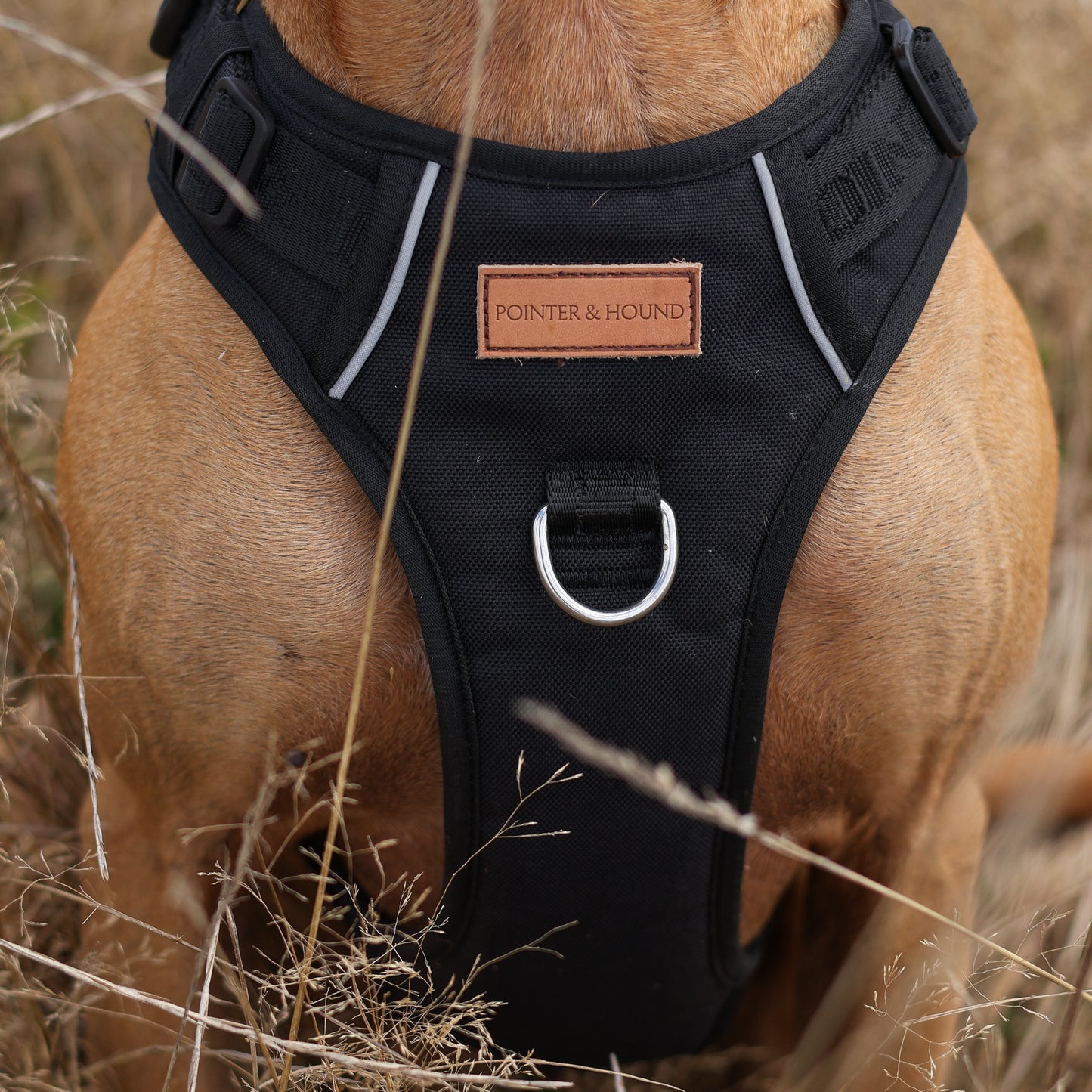 Signature Harness - Black