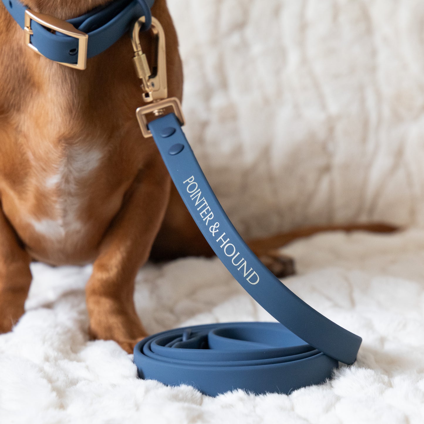 PVC Leash - Blue
