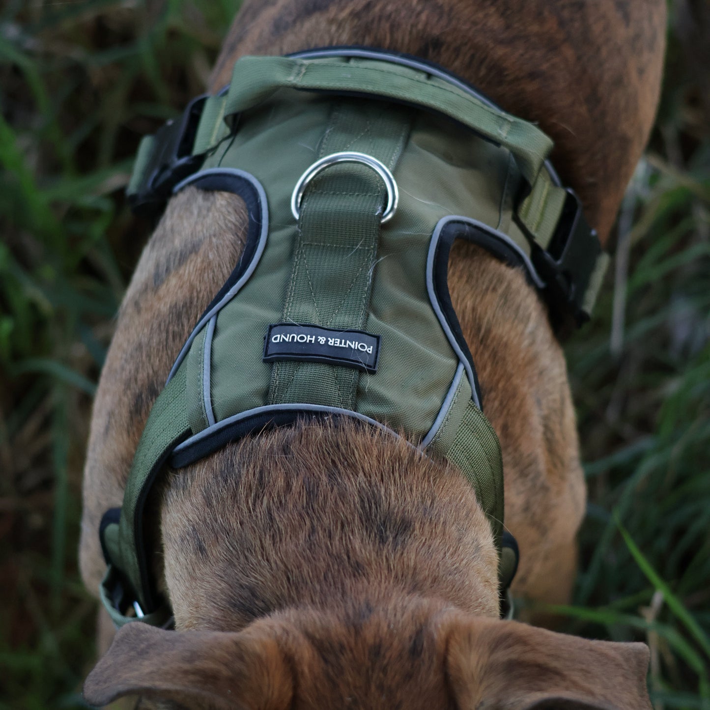Tactical Harness 2.0 - Army Green
