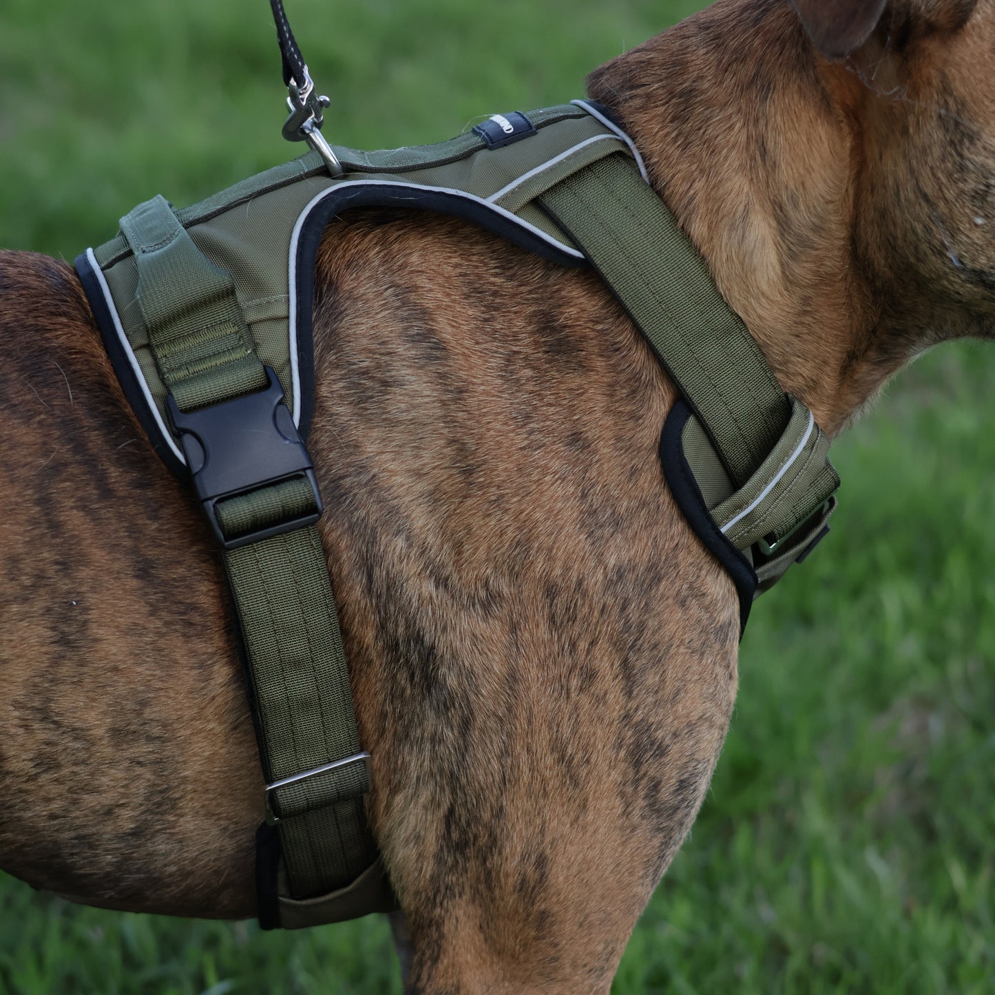 Tactical Harness 2.0 - Army Green