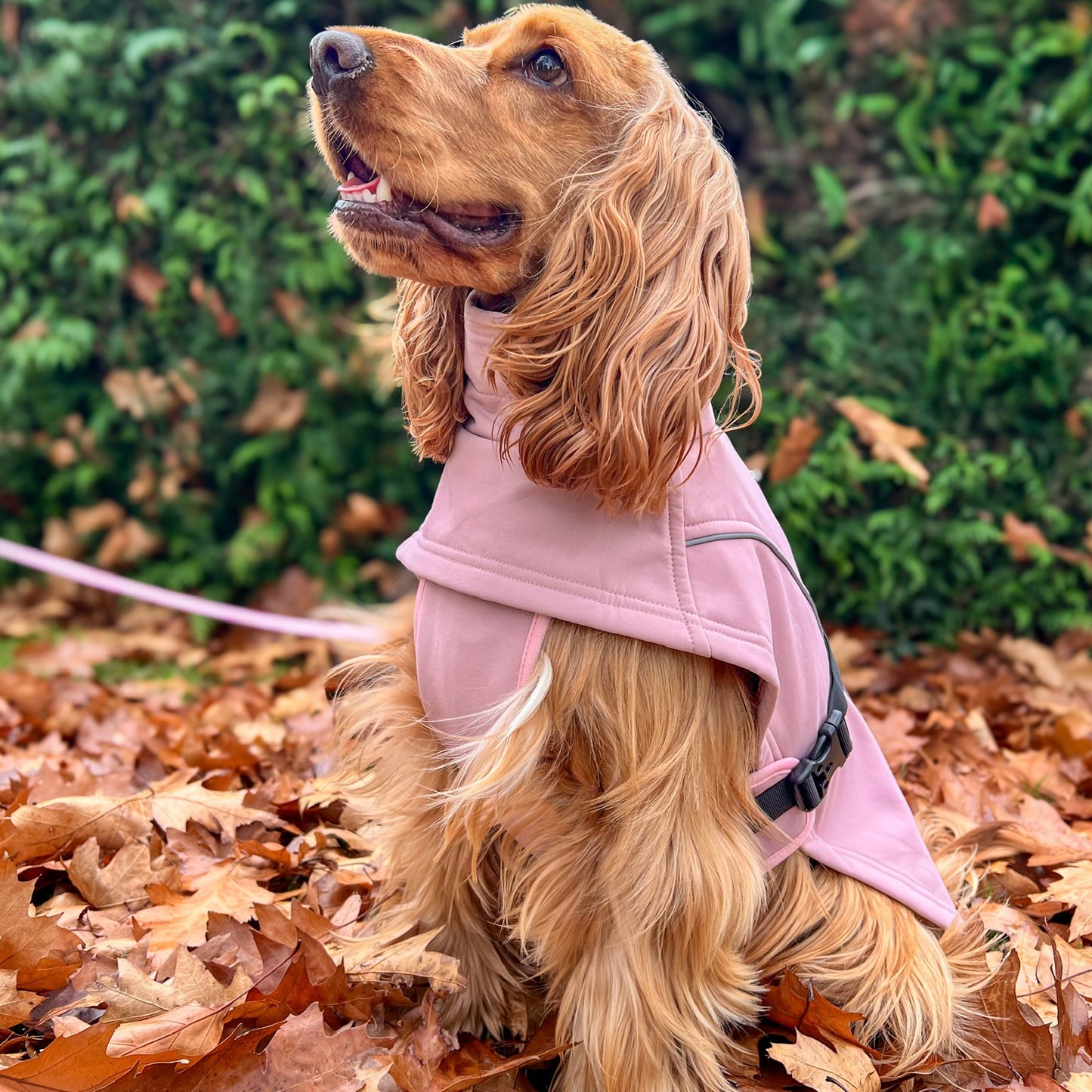 Waterproof Jacket - Pink
