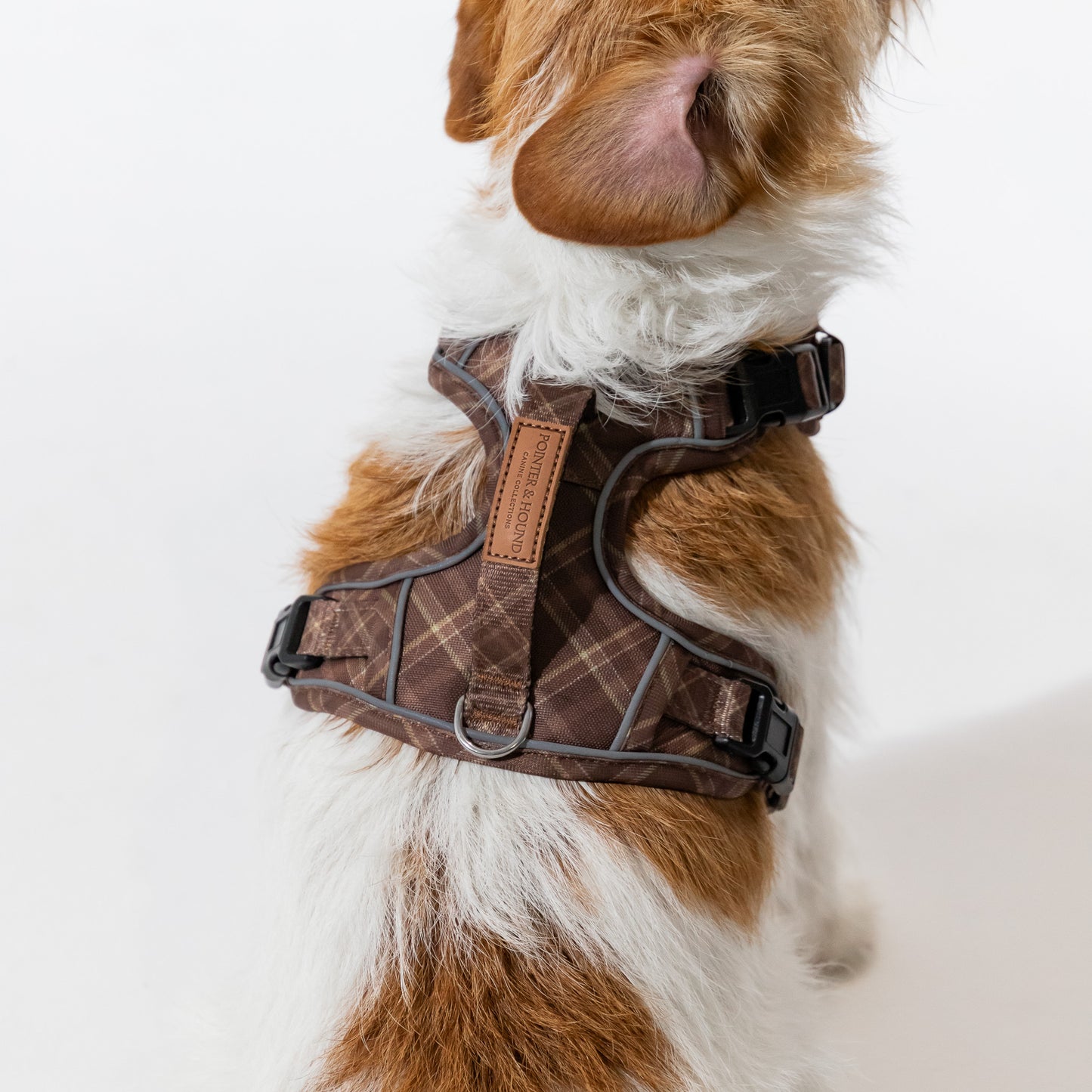Signature Harness - Brown Tartan