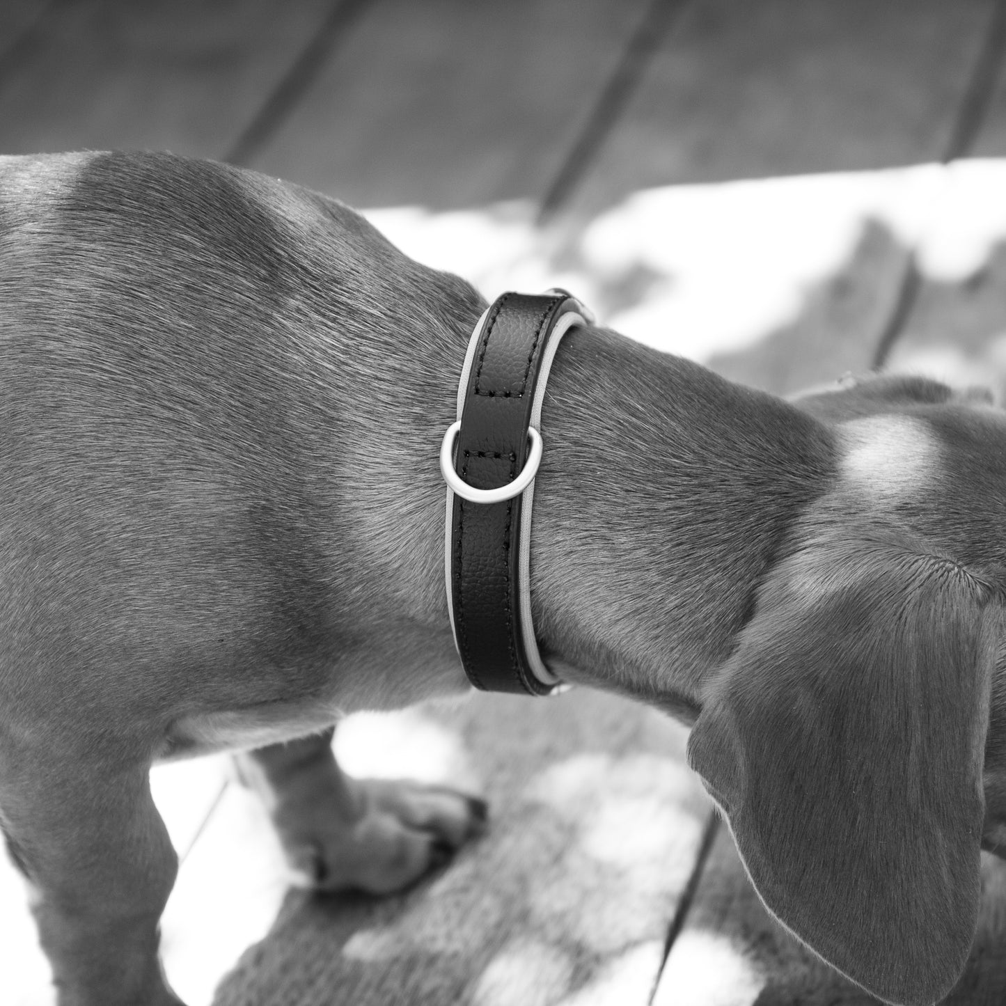 Padded Leather Collars