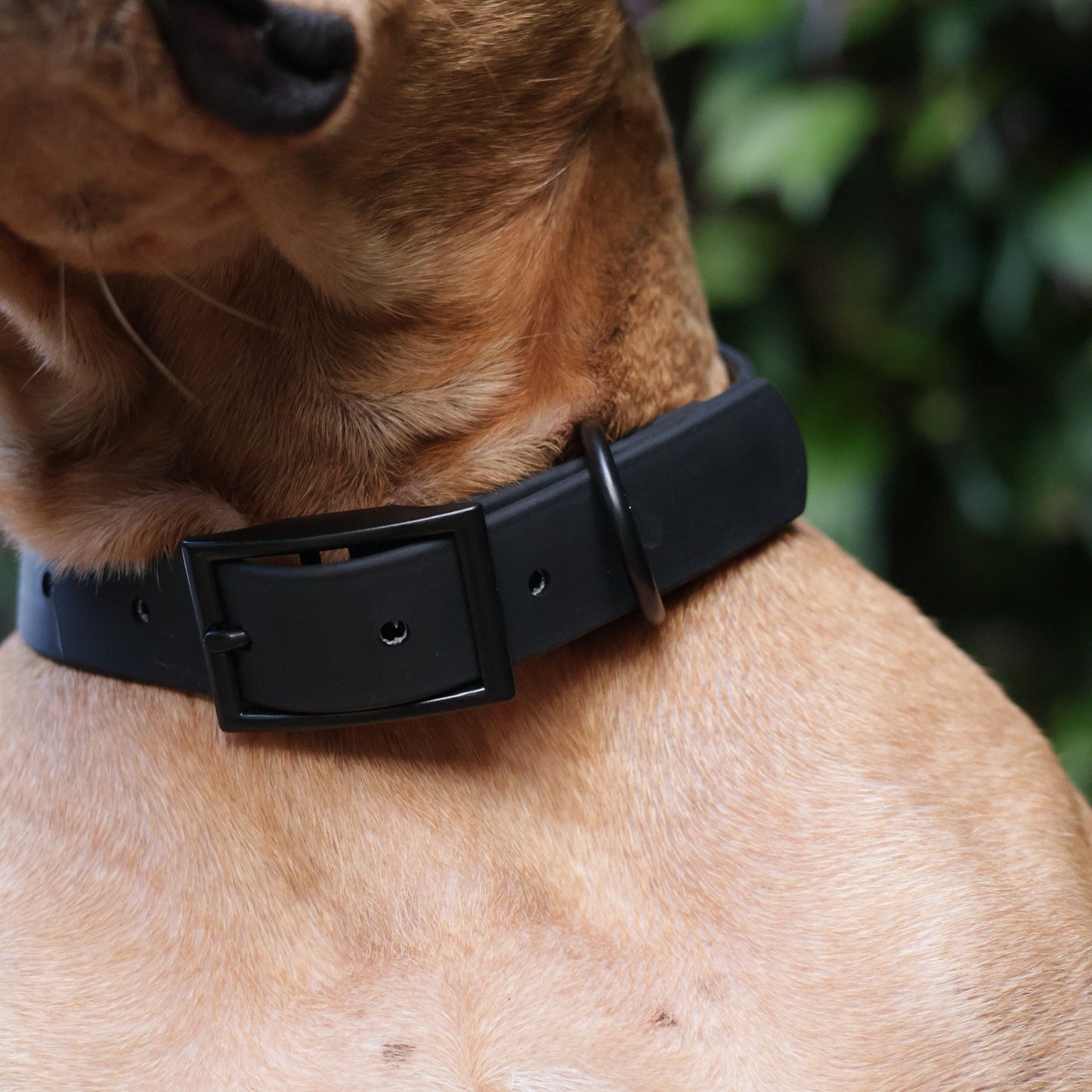 Waterproof PVC Collars