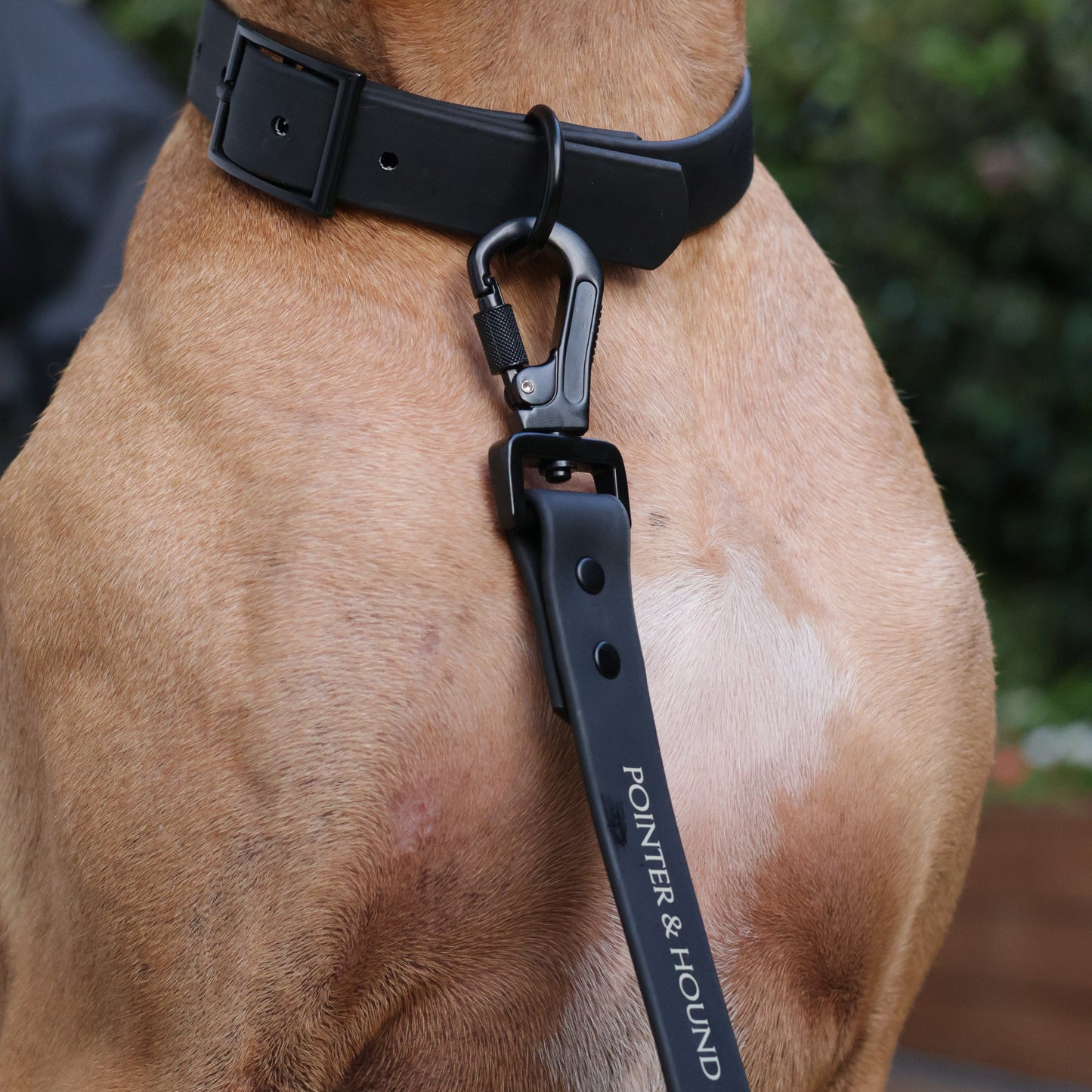 Waterproof Collar + Leash Combo - Black