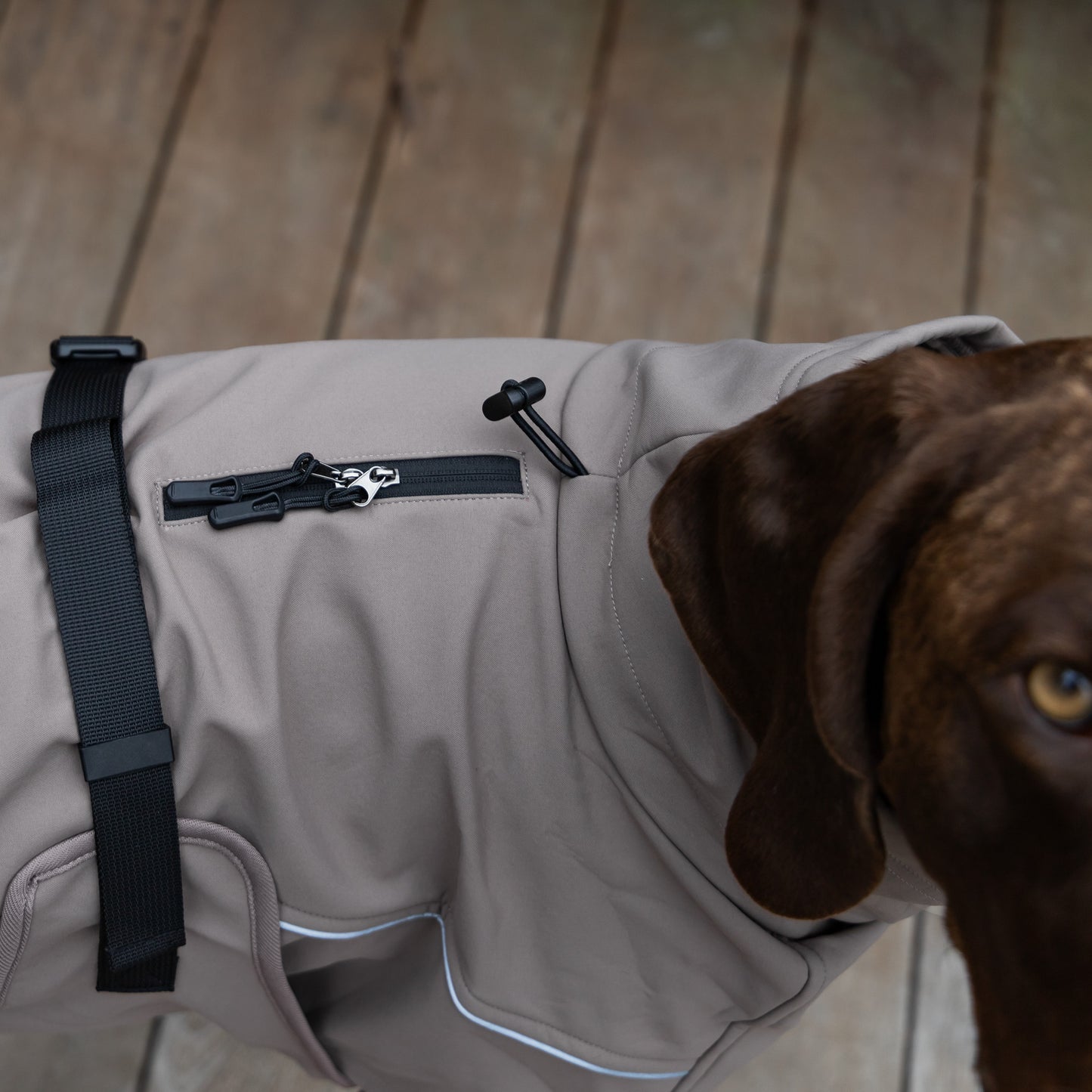 Waterproof Jacket - Mushroom